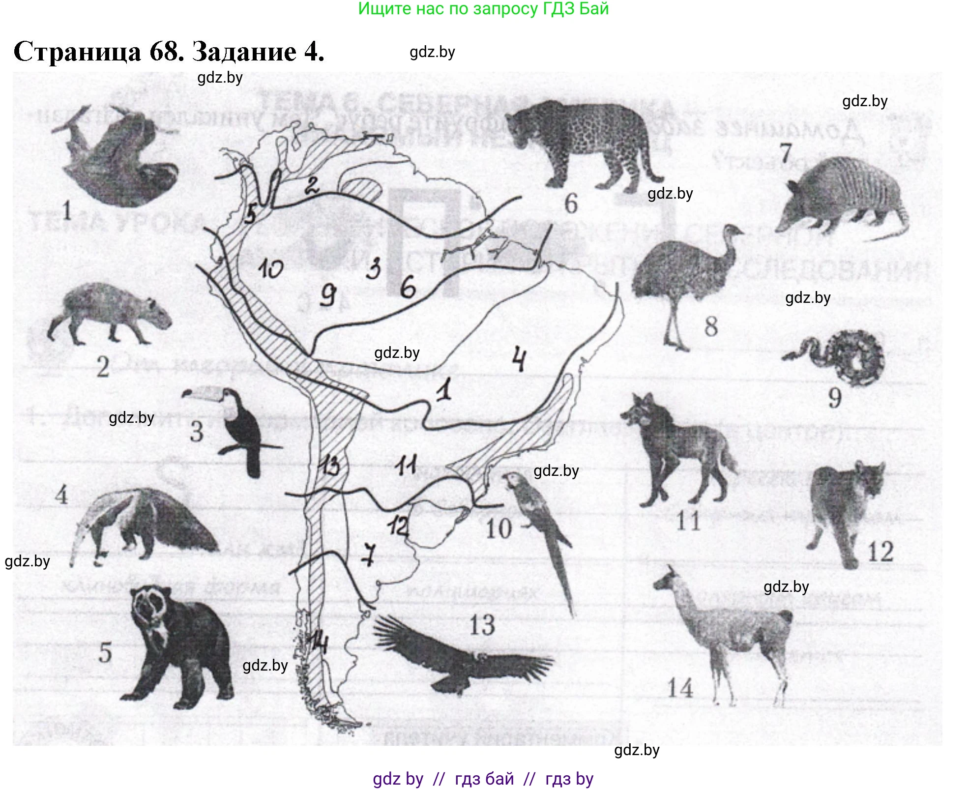 География, 7 класс рабочая тетрадь, авторы: Кольмакова Елена Генадьевна, Сарычева Ольга Владимировна, Тарасенок Елена Николаевна, издательство Аверсэв, Минск, 2024, страница 68, номер 4, Решение