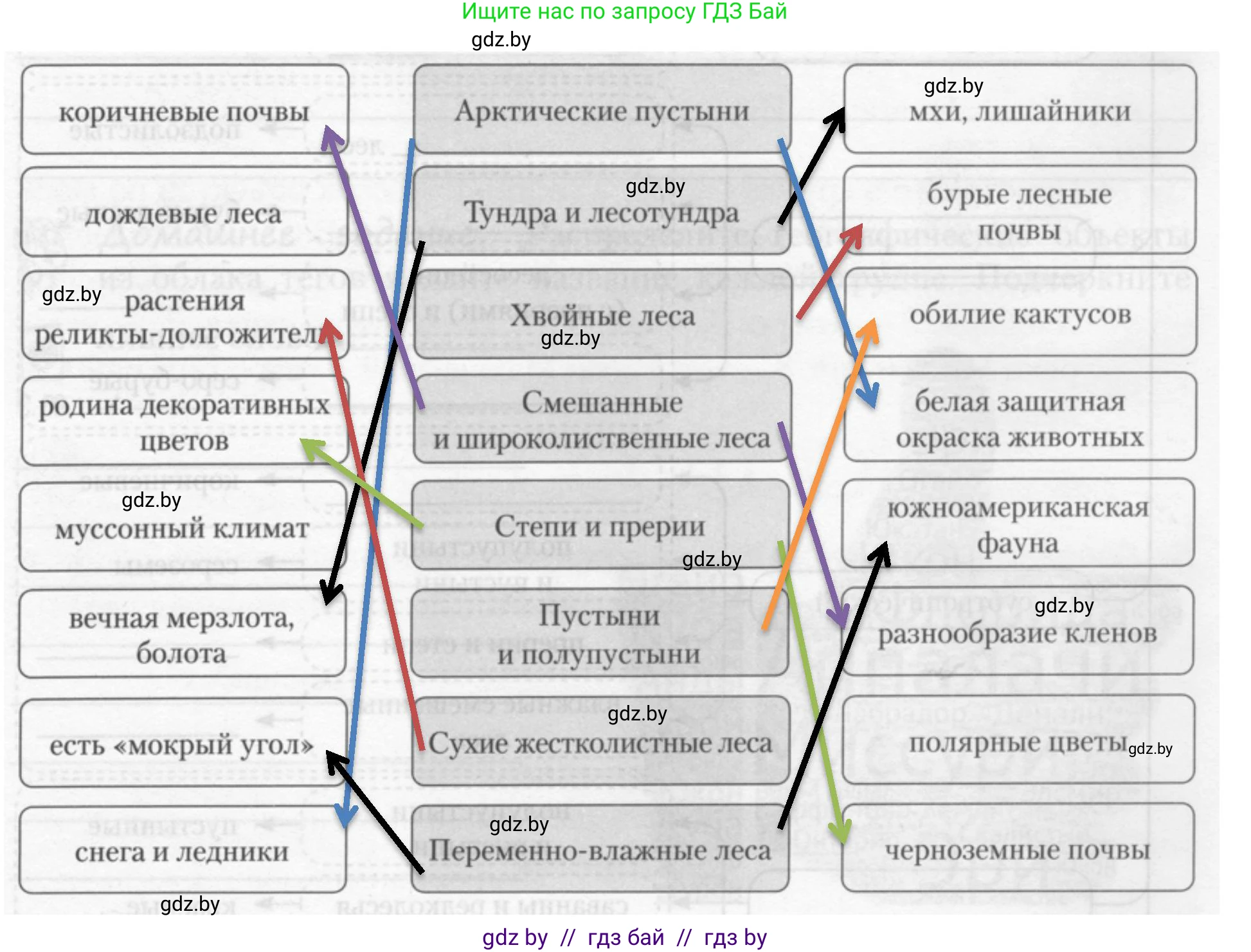География, 7 класс рабочая тетрадь, авторы: Кольмакова Елена Генадьевна, Сарычева Ольга Владимировна, Тарасенок Елена Николаевна, издательство Аверсэв, Минск, 2024, страница 84, номер 3, Решение