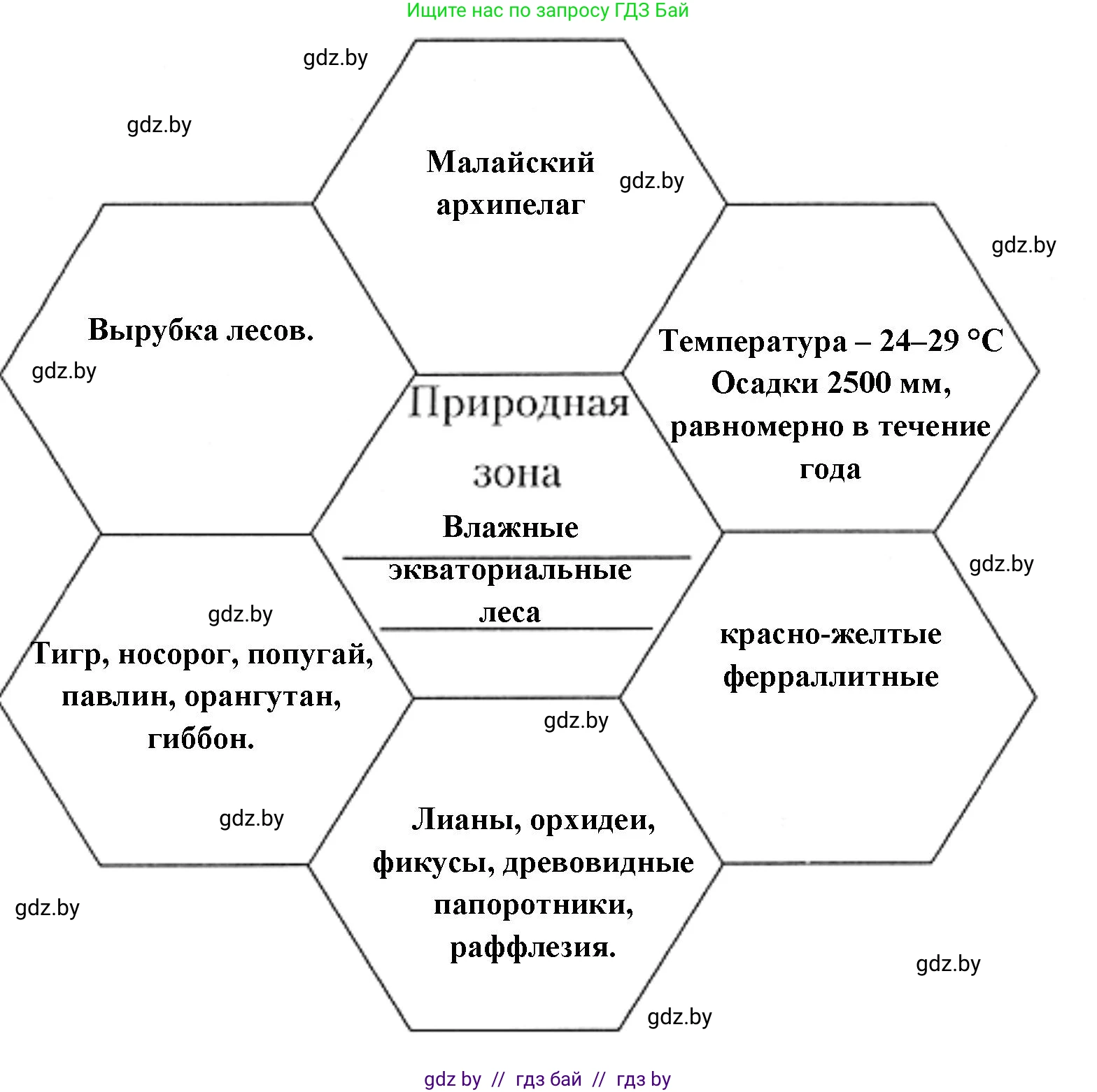 География, 7 класс рабочая тетрадь, авторы: Кольмакова Елена Генадьевна, Сарычева Ольга Владимировна, Тарасенок Елена Николаевна, издательство Аверсэв, Минск, 2024, страница 101, номер 2, Решение