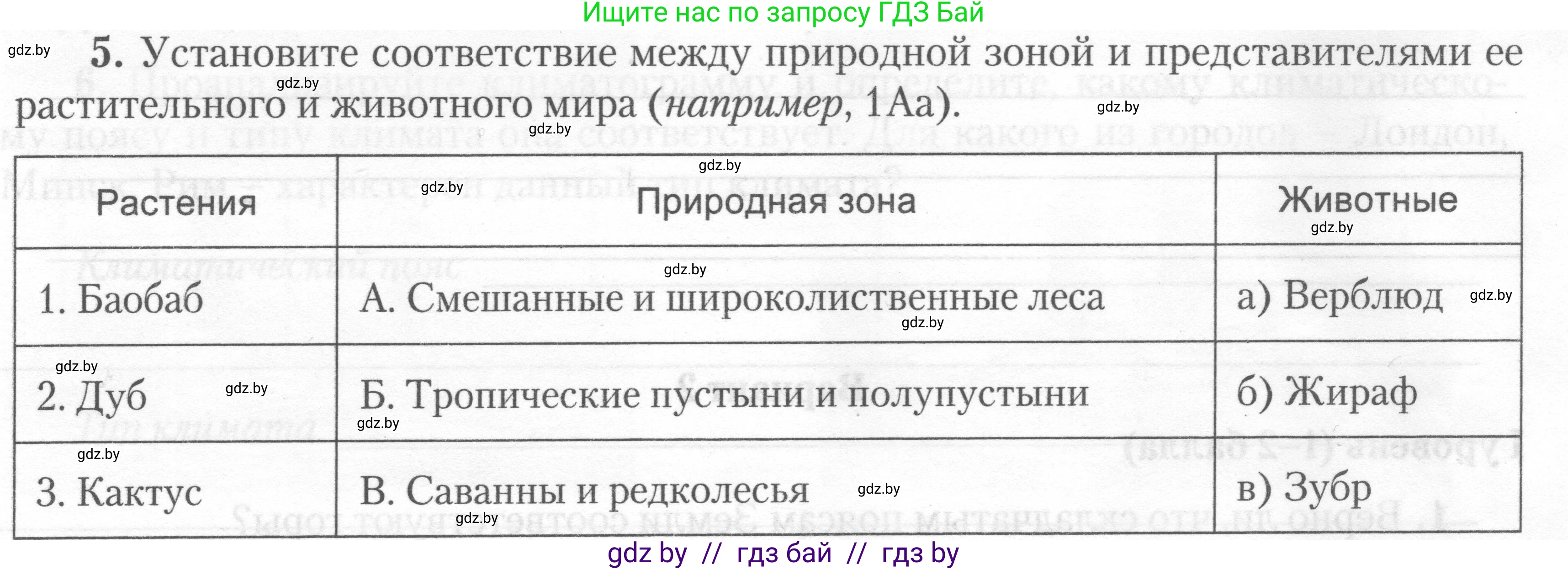 География, 7 класс тетрадь для практических и самостоятельных работ, авторы: Метельский Юрий Михайлович, Чайковская Людмила Ивановна, издательство Сэр-Вит, Минск, 2023, бирюзового цвета, страница 24, номер 5, Условие