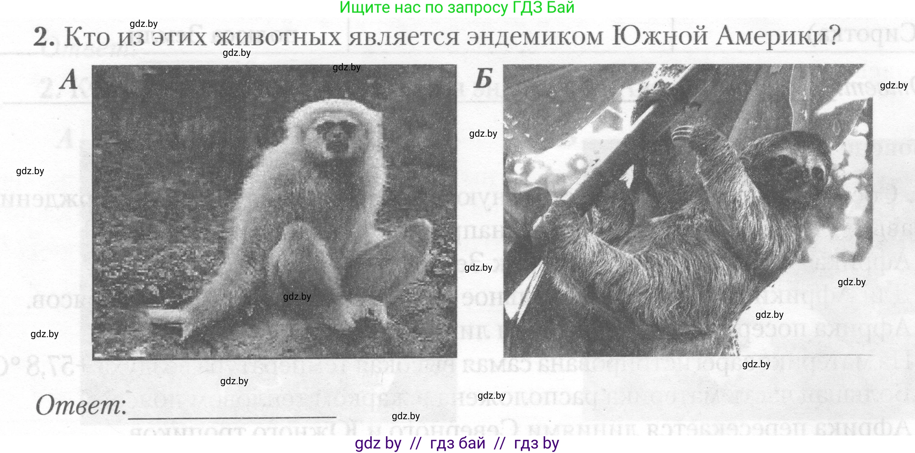 География, 7 класс тетрадь для практических и самостоятельных работ, авторы: Метельский Юрий Михайлович, Чайковская Людмила Ивановна, издательство Сэр-Вит, Минск, 2023, бирюзового цвета, страница 28, номер 2, Условие