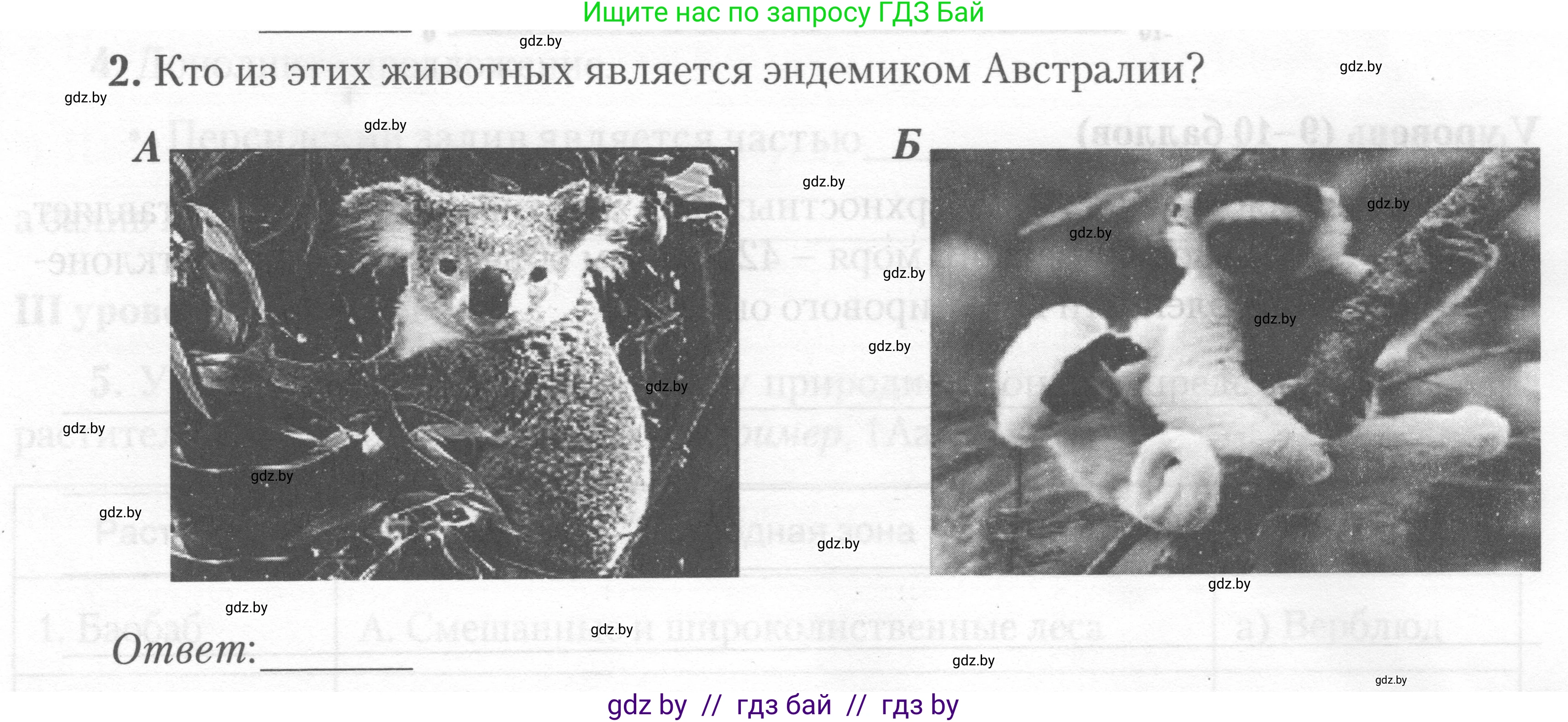 География, 7 класс тетрадь для практических и самостоятельных работ, авторы: Метельский Юрий Михайлович, Чайковская Людмила Ивановна, издательство Сэр-Вит, Минск, 2023, бирюзового цвета, страница 26, номер 2, Условие
