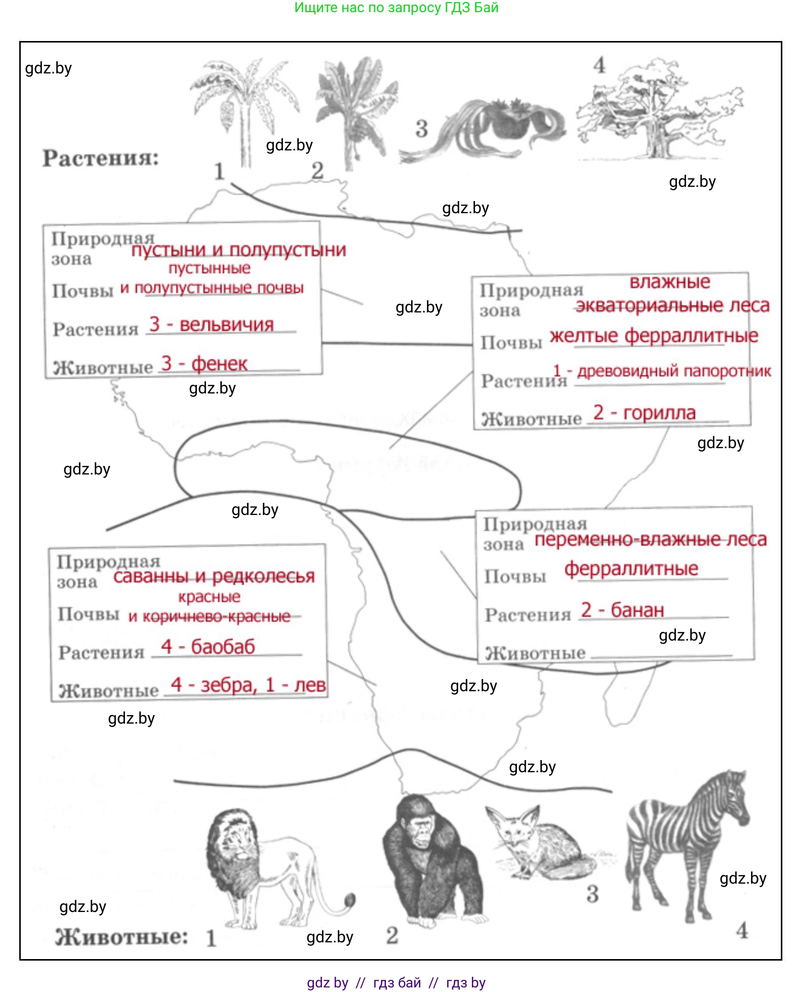 География, 7 класс Тетрадь для практических работ и индивидуальных заданий, авторы: Витченко Александр Николаевич, Станкевич Наталья Григорьевна, издательство Аверсэв, Минск, 2022, страница 30, номер 14, Решение (продолжение 2)