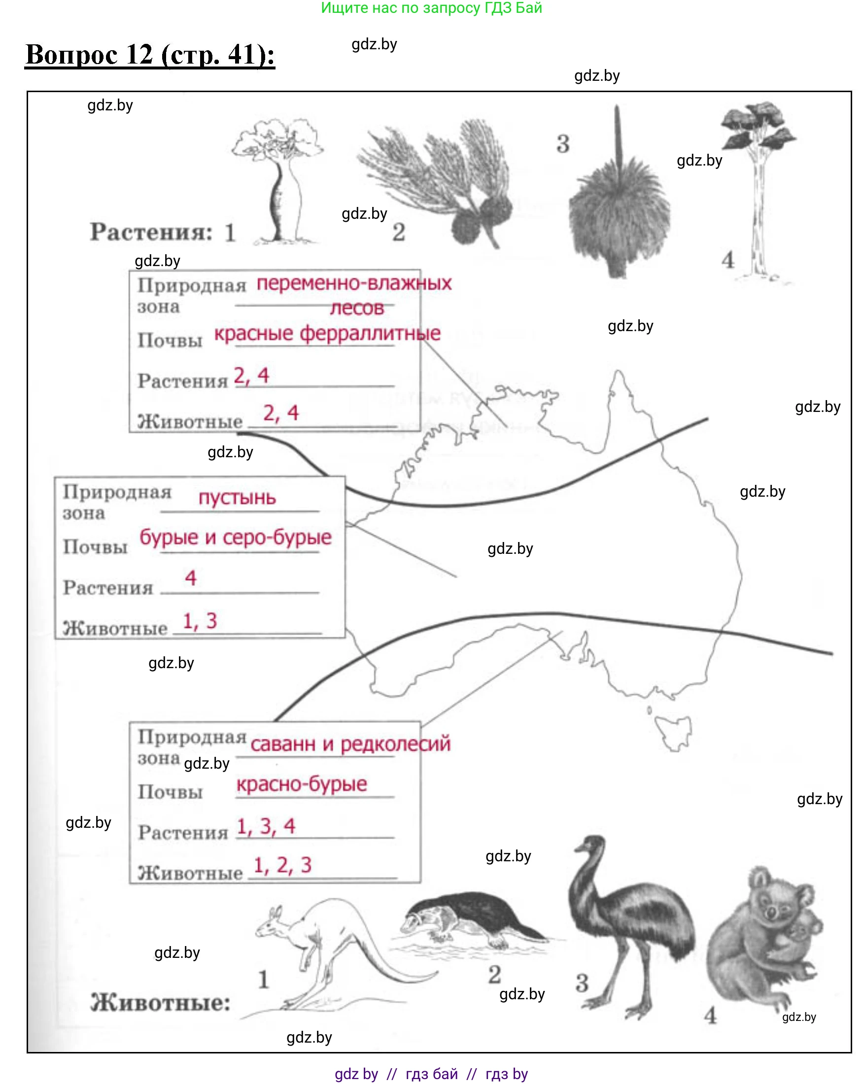 География, 7 класс Тетрадь для практических работ и индивидуальных заданий, авторы: Витченко Александр Николаевич, Станкевич Наталья Григорьевна, издательство Аверсэв, Минск, 2022, страница 41, номер 12, Решение