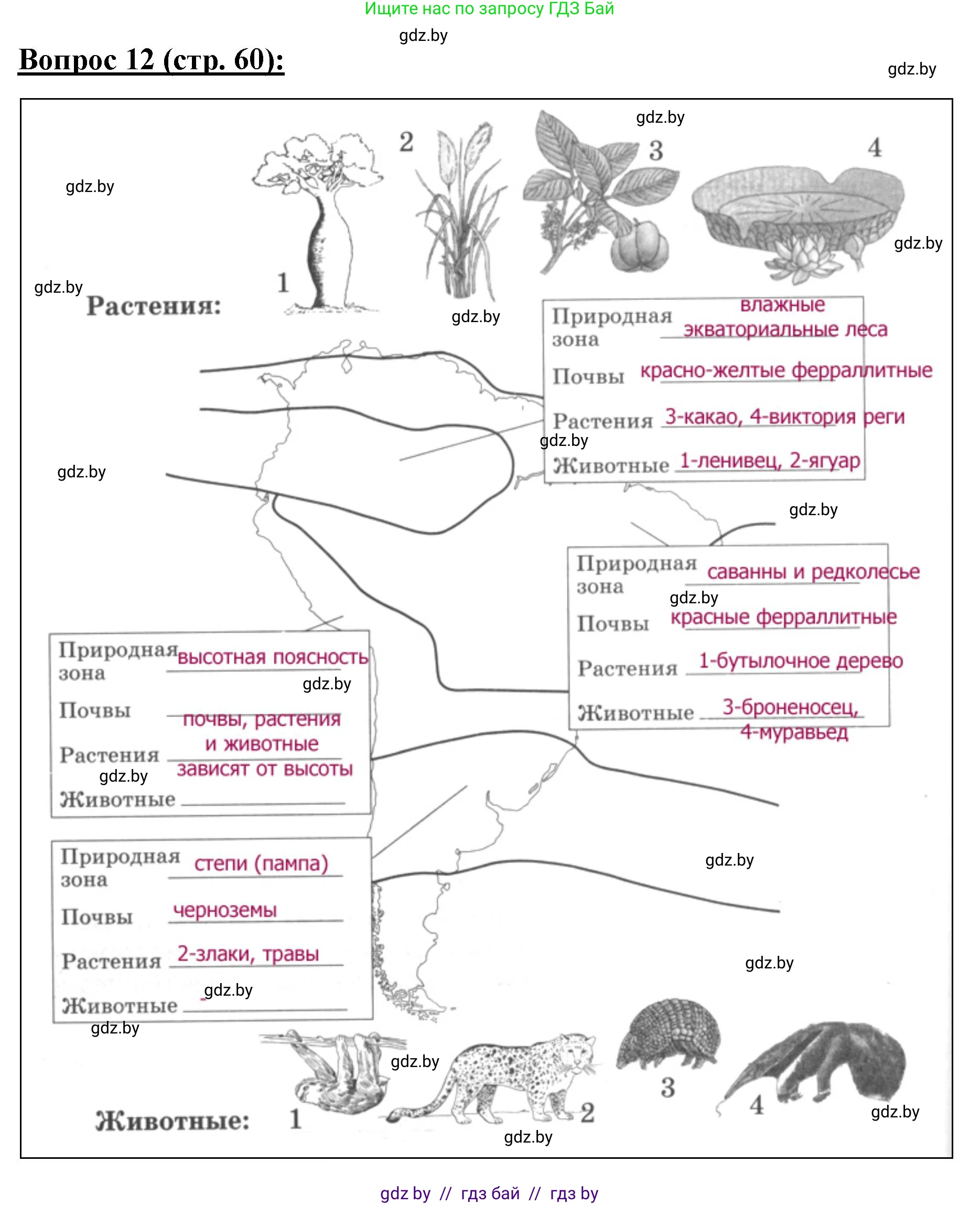 География, 7 класс Тетрадь для практических работ и индивидуальных заданий, авторы: Витченко Александр Николаевич, Станкевич Наталья Григорьевна, издательство Аверсэв, Минск, 2022, страница 60, номер 12, Решение