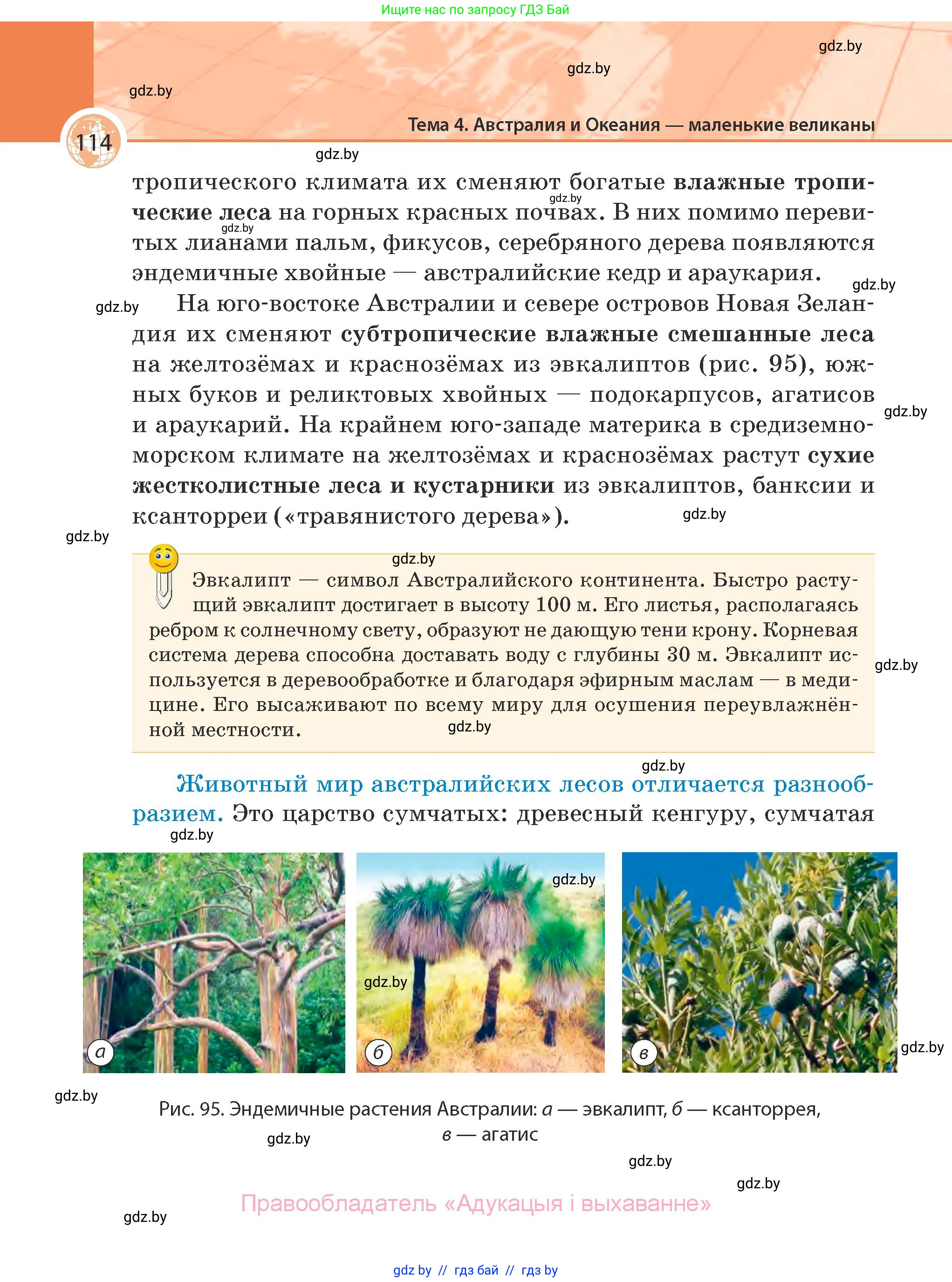 География, 7 класс Учебник, авторы: Кольмакова Елена Генадьевна, Лопух Пётр Степанович, Сарычева Ольга Владимировна, издательство Адукацыя i выхаванне, Минск, 2023, страница 114