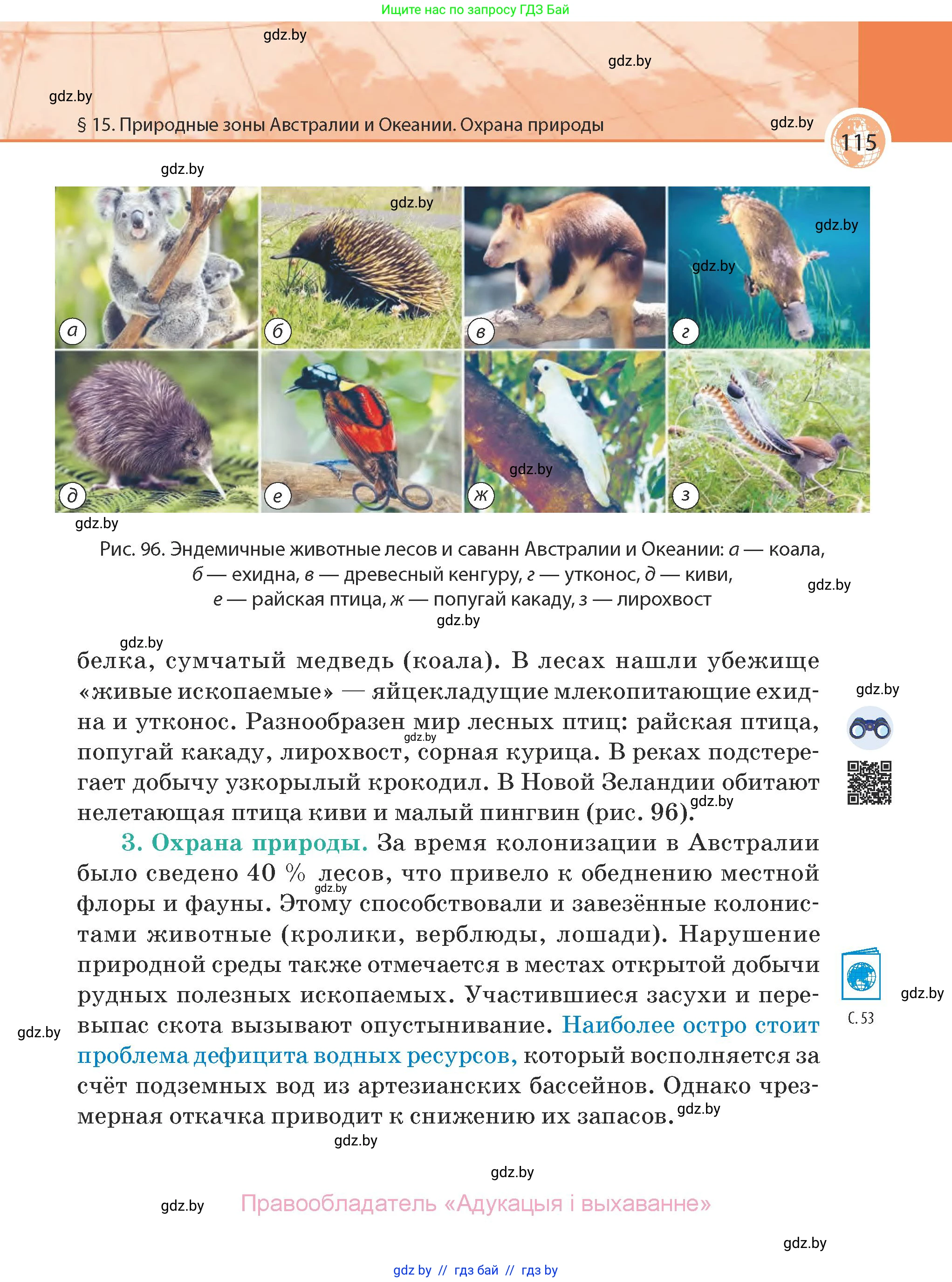 География, 7 класс Учебник, авторы: Кольмакова Елена Генадьевна, Лопух Пётр Степанович, Сарычева Ольга Владимировна, издательство Адукацыя i выхаванне, Минск, 2023, страница 115