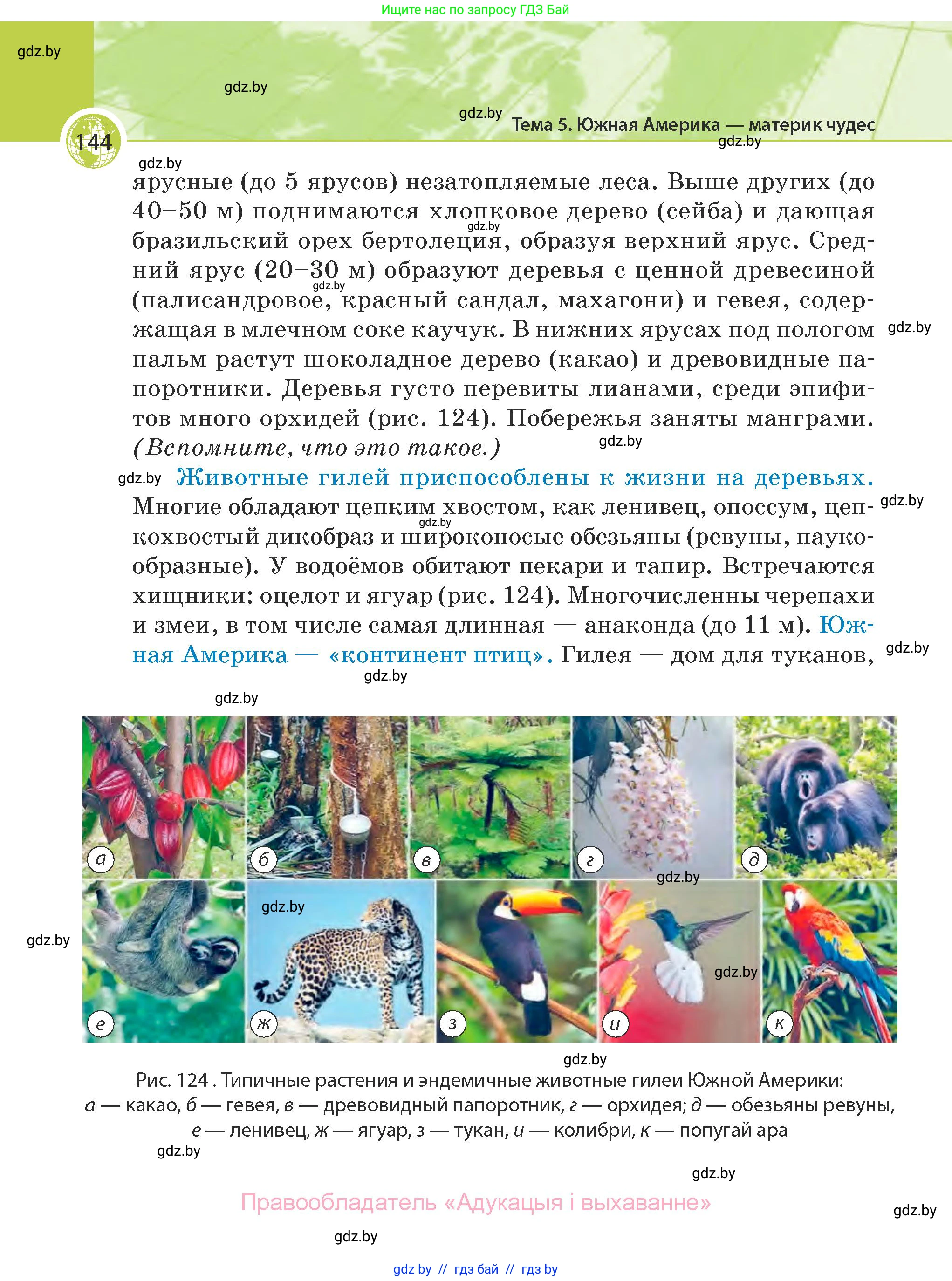 География, 7 класс Учебник, авторы: Кольмакова Елена Генадьевна, Лопух Пётр Степанович, Сарычева Ольга Владимировна, издательство Адукацыя i выхаванне, Минск, 2023, страница 144