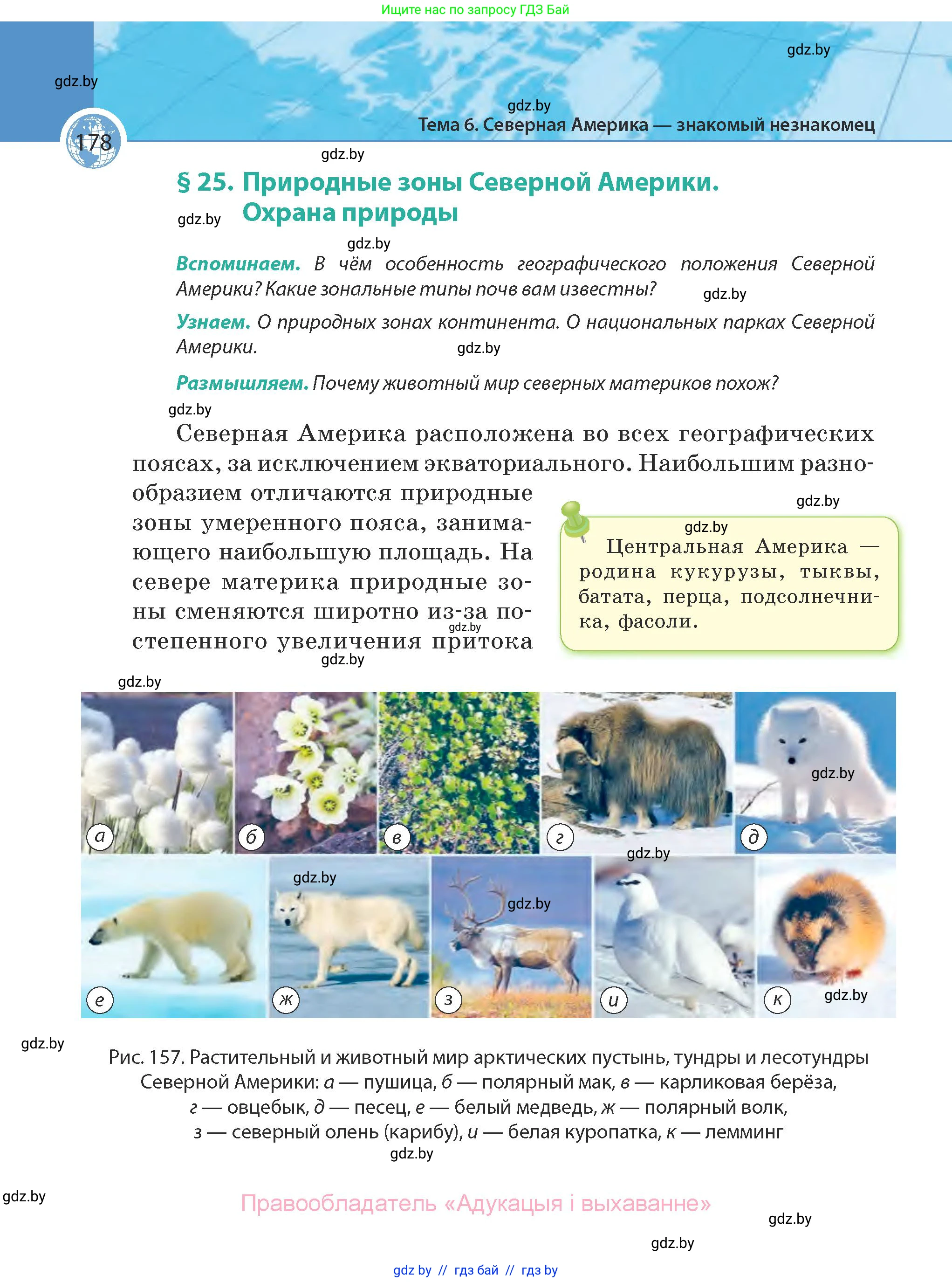 География, 7 класс Учебник, авторы: Кольмакова Елена Генадьевна, Лопух Пётр Степанович, Сарычева Ольга Владимировна, издательство Адукацыя i выхаванне, Минск, 2023, страница 178