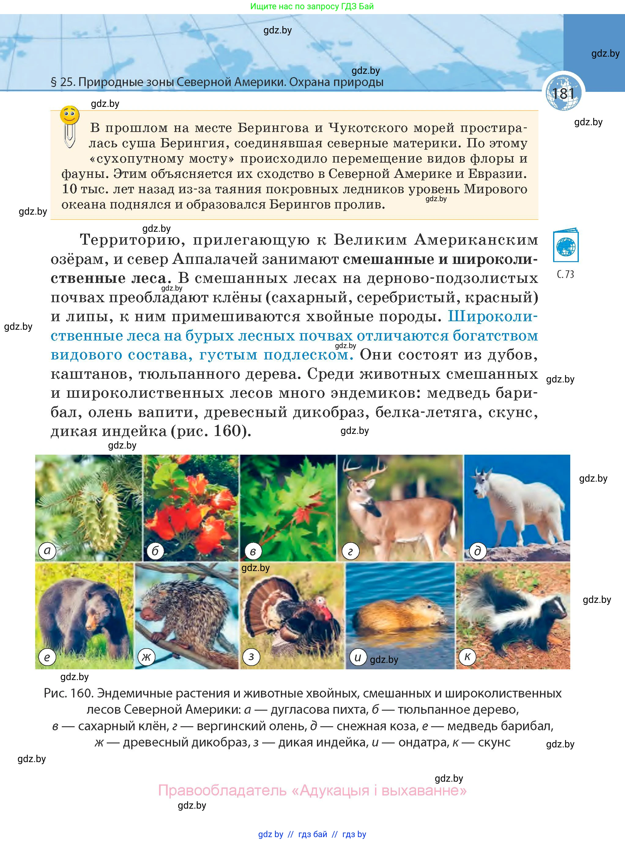 География, 7 класс Учебник, авторы: Кольмакова Елена Генадьевна, Лопух Пётр Степанович, Сарычева Ольга Владимировна, издательство Адукацыя i выхаванне, Минск, 2023, страница 181