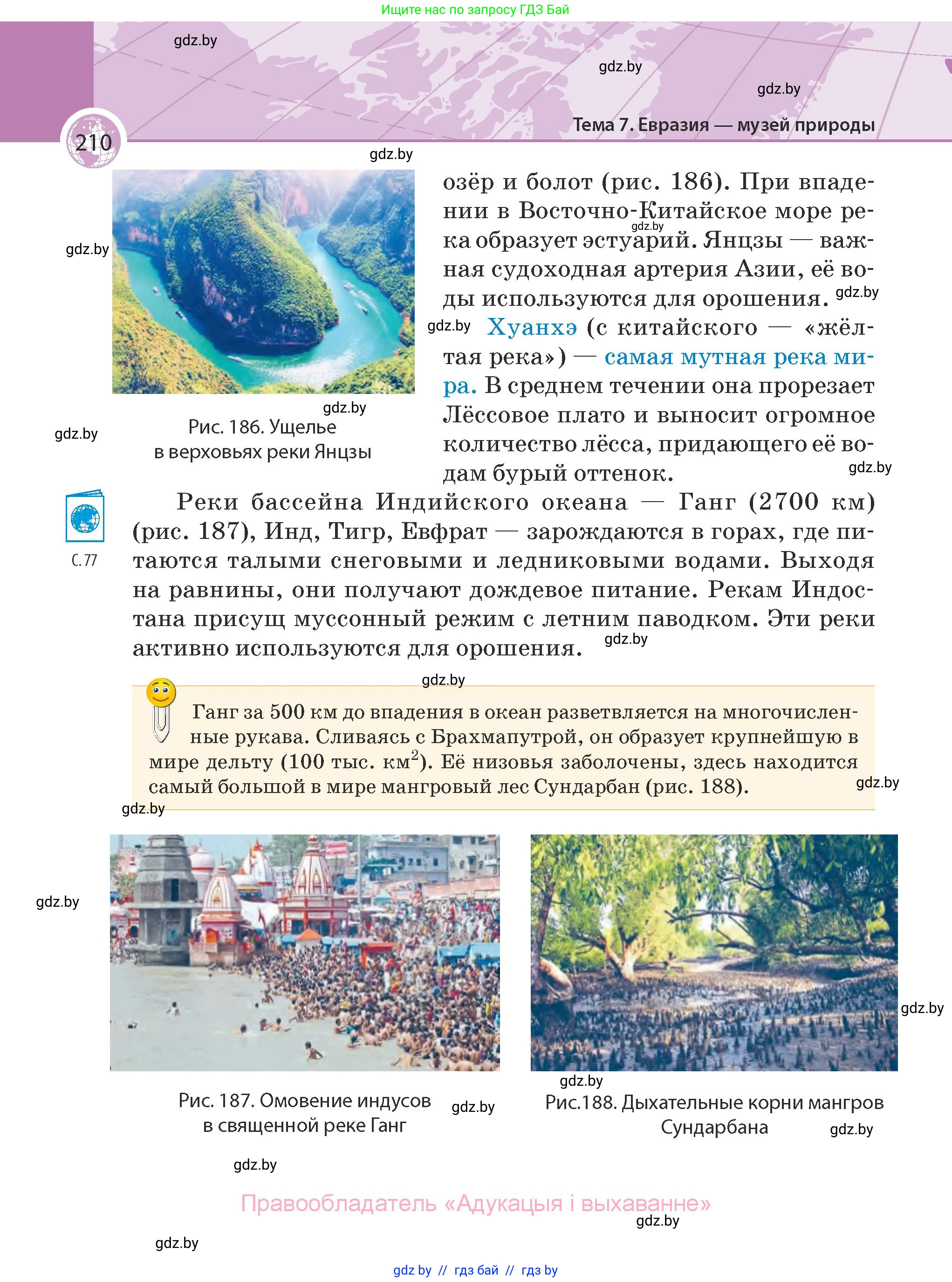 География, 7 класс Учебник, авторы: Кольмакова Елена Генадьевна, Лопух Пётр Степанович, Сарычева Ольга Владимировна, издательство Адукацыя i выхаванне, Минск, 2023, страница 210