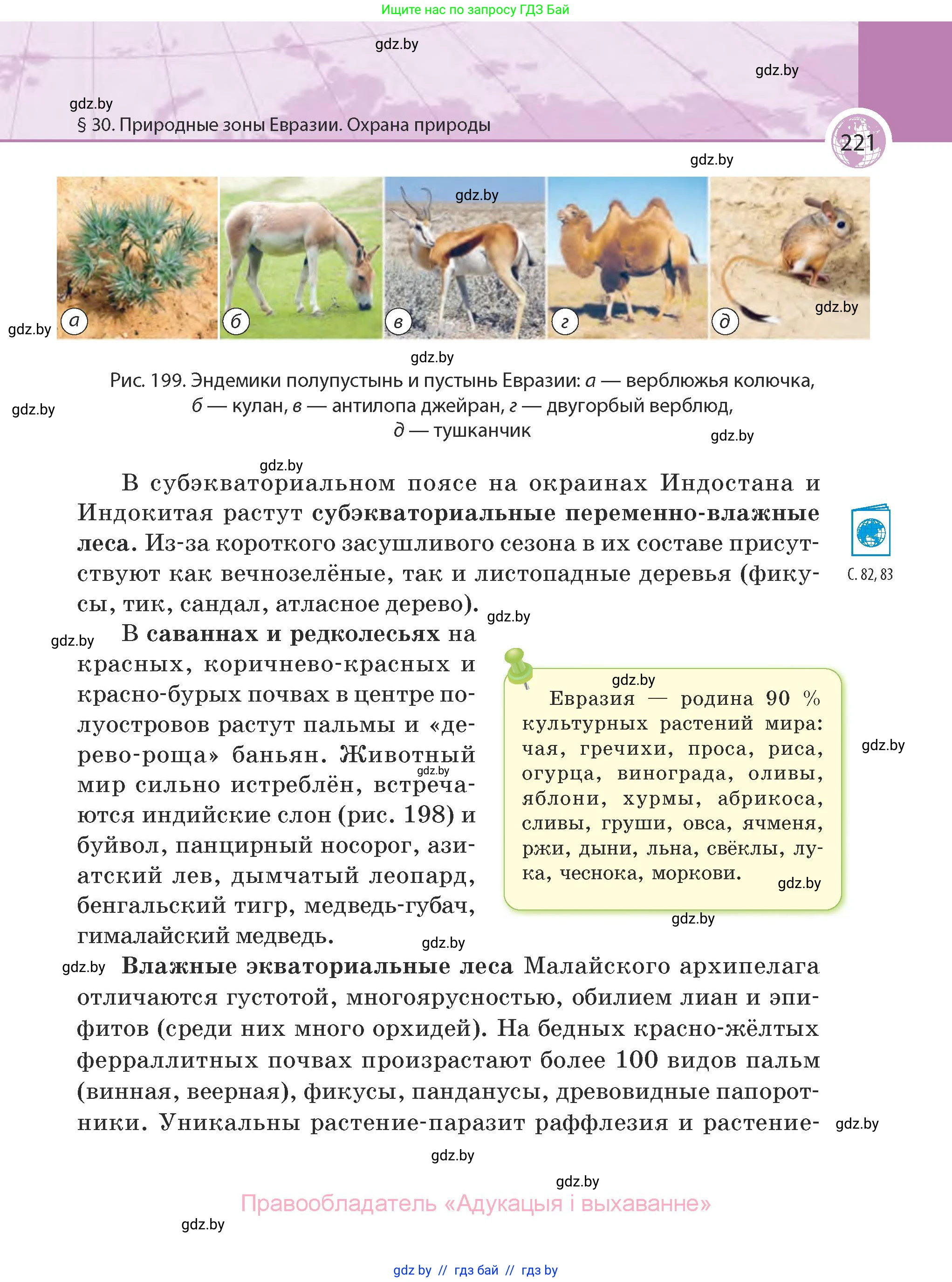 География, 7 класс Учебник, авторы: Кольмакова Елена Генадьевна, Лопух Пётр Степанович, Сарычева Ольга Владимировна, издательство Адукацыя i выхаванне, Минск, 2023, страница 221