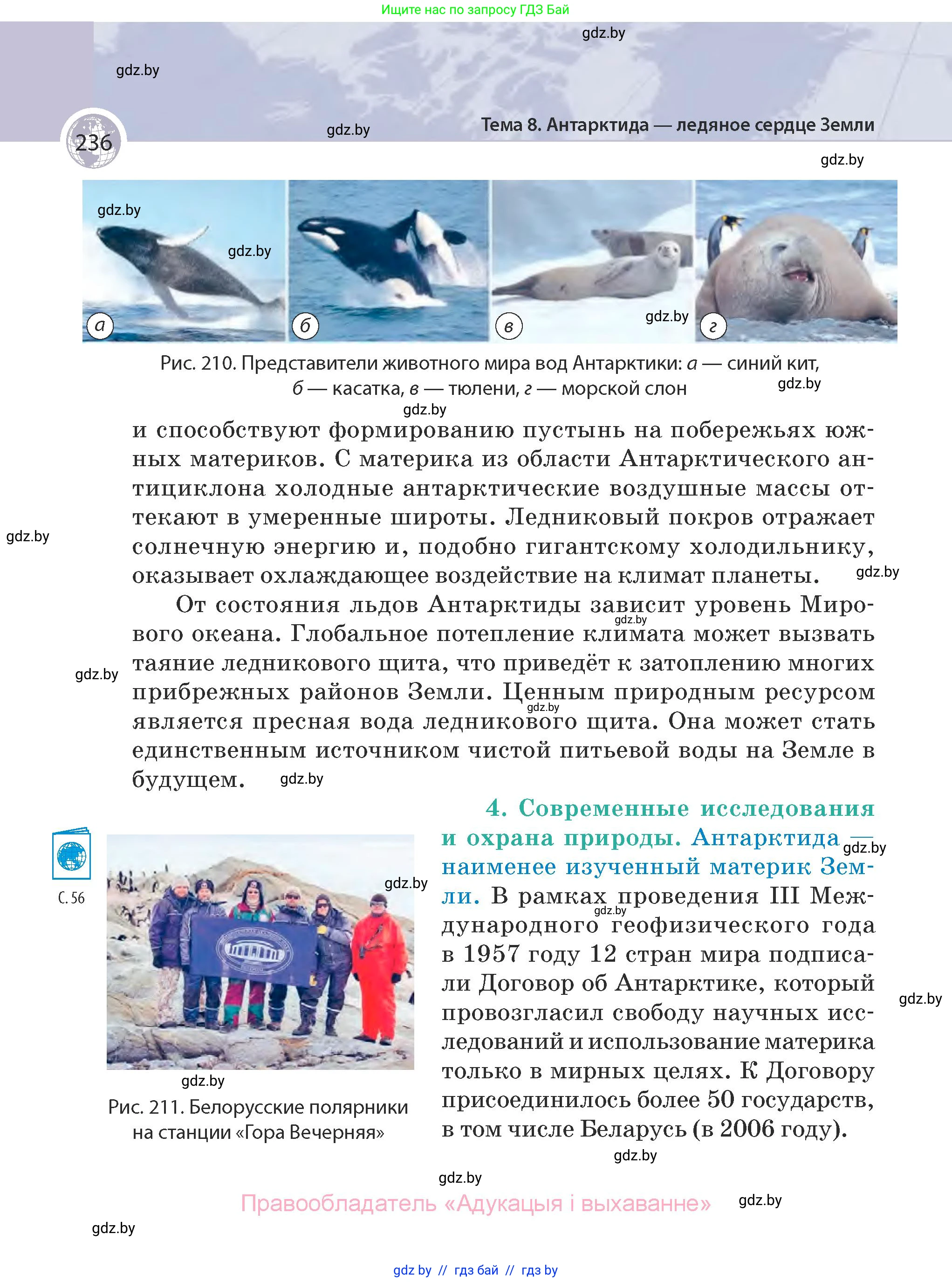 География, 7 класс Учебник, авторы: Кольмакова Елена Генадьевна, Лопух Пётр Степанович, Сарычева Ольга Владимировна, издательство Адукацыя i выхаванне, Минск, 2023, страница 236