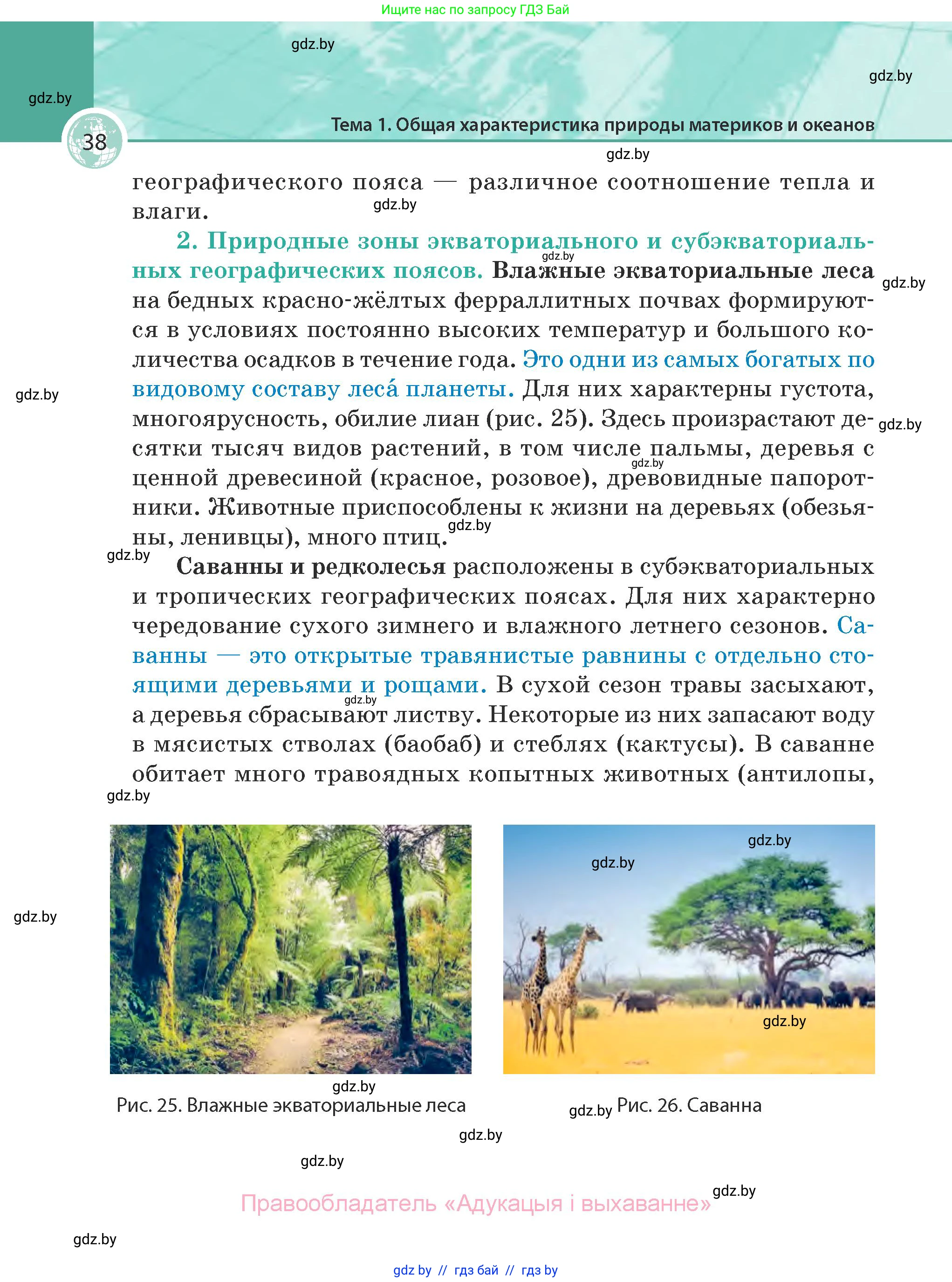 География, 7 класс Учебник, авторы: Кольмакова Елена Генадьевна, Лопух Пётр Степанович, Сарычева Ольга Владимировна, издательство Адукацыя i выхаванне, Минск, 2023, страница 38