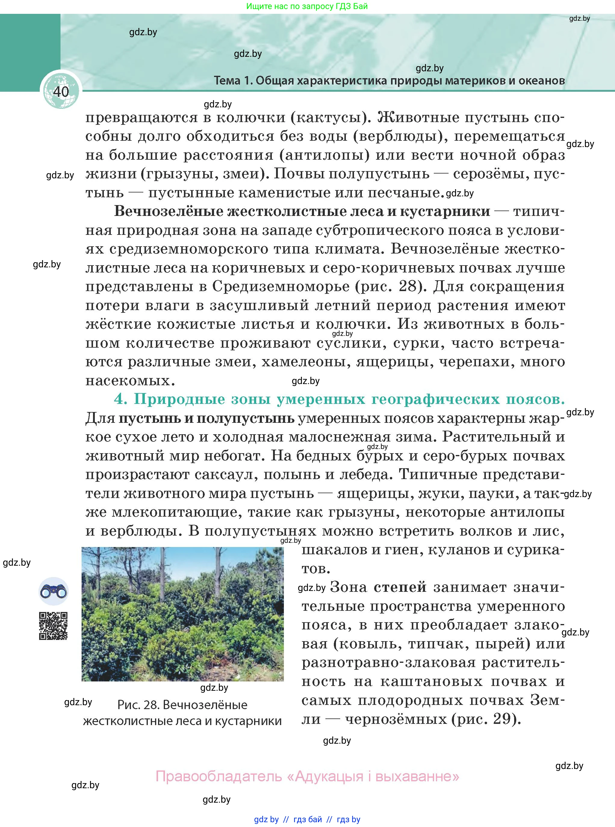 География, 7 класс Учебник, авторы: Кольмакова Елена Генадьевна, Лопух Пётр Степанович, Сарычева Ольга Владимировна, издательство Адукацыя i выхаванне, Минск, 2023, страница 40