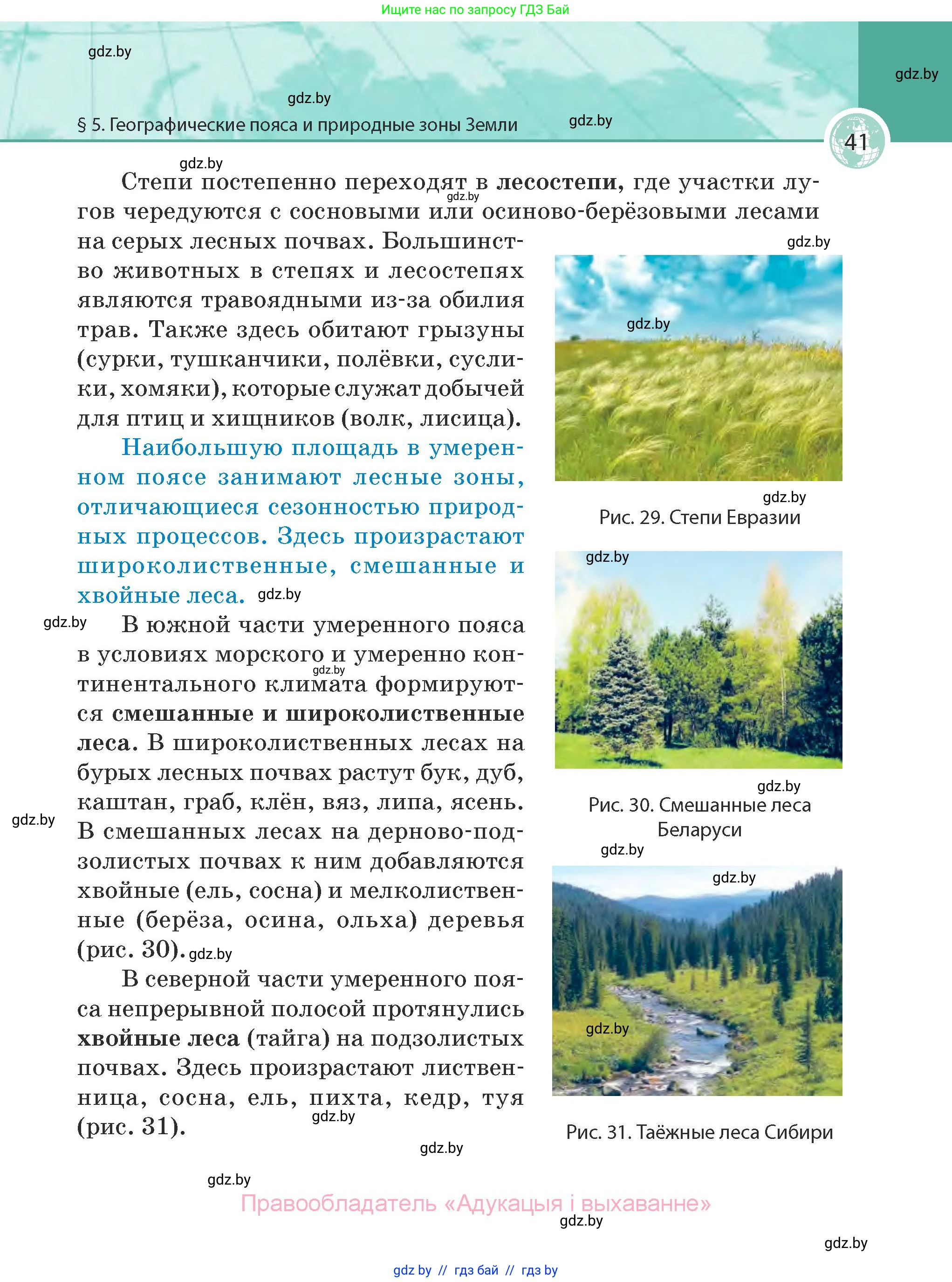 География, 7 класс Учебник, авторы: Кольмакова Елена Генадьевна, Лопух Пётр Степанович, Сарычева Ольга Владимировна, издательство Адукацыя i выхаванне, Минск, 2023, страница 41