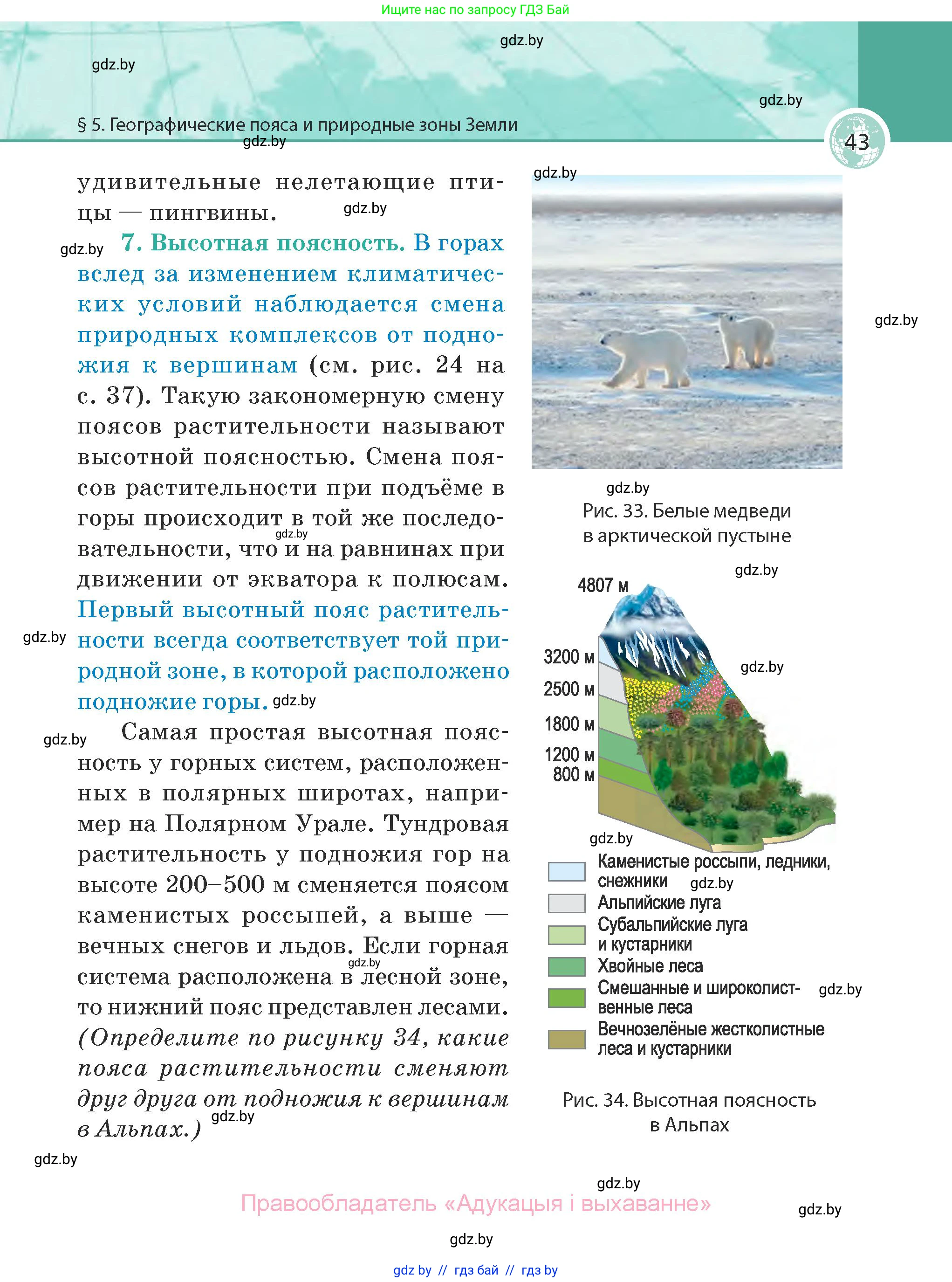 География, 7 класс Учебник, авторы: Кольмакова Елена Генадьевна, Лопух Пётр Степанович, Сарычева Ольга Владимировна, издательство Адукацыя i выхаванне, Минск, 2023, страница 43