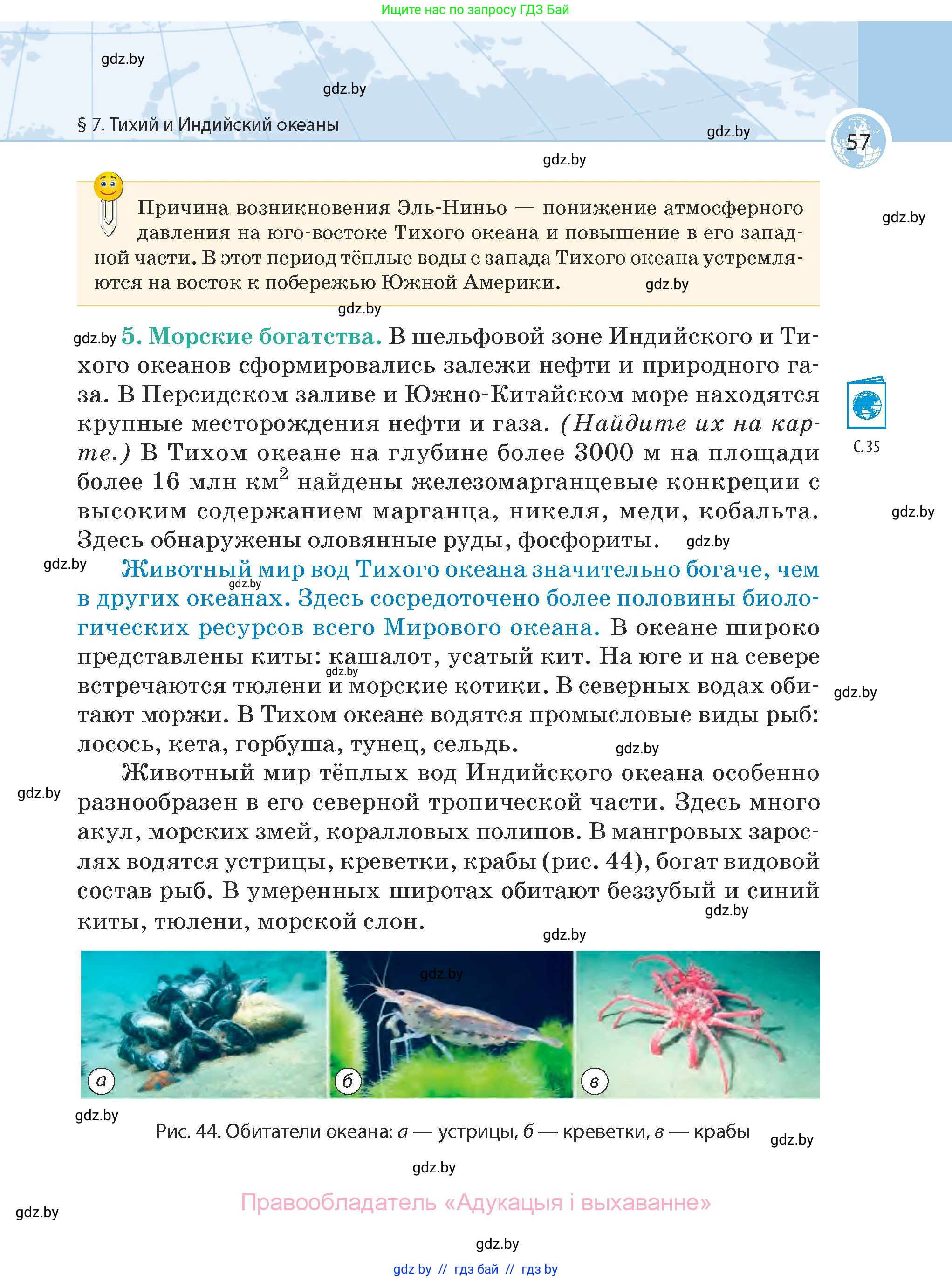 География, 7 класс Учебник, авторы: Кольмакова Елена Генадьевна, Лопух Пётр Степанович, Сарычева Ольга Владимировна, издательство Адукацыя i выхаванне, Минск, 2023, страница 57