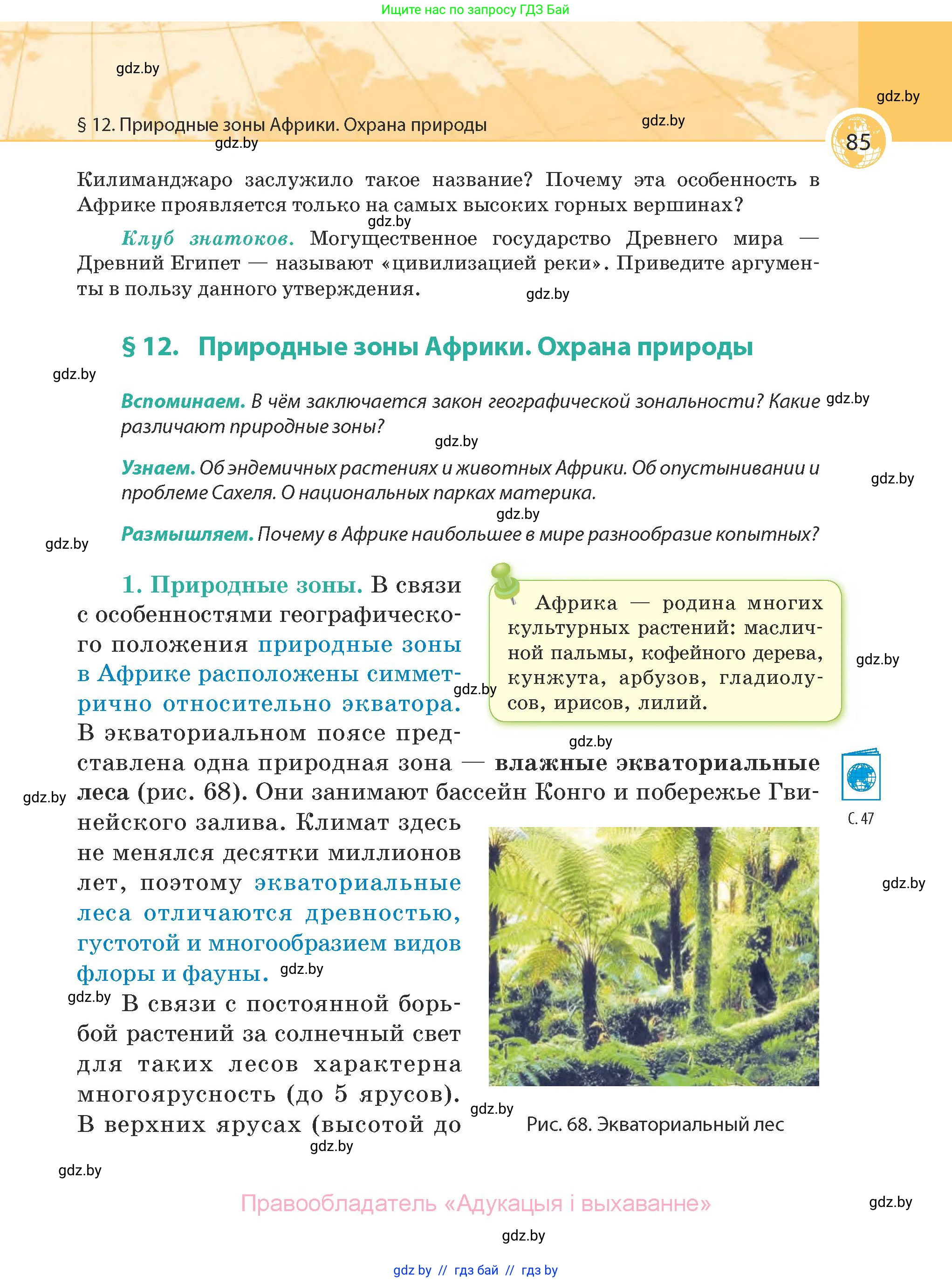 География, 7 класс Учебник, авторы: Кольмакова Елена Генадьевна, Лопух Пётр Степанович, Сарычева Ольга Владимировна, издательство Адукацыя i выхаванне, Минск, 2023, страница 85