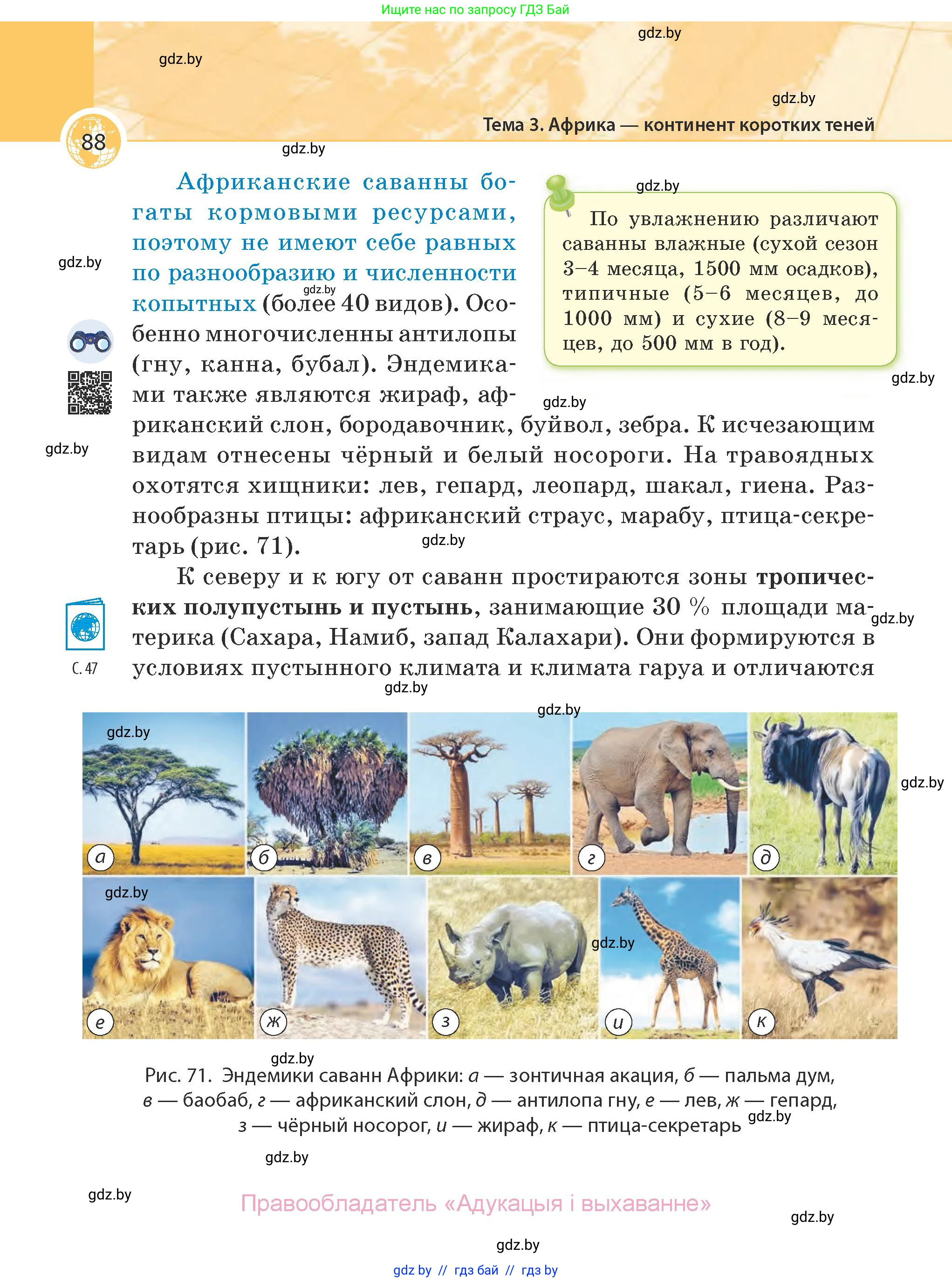 География, 7 класс Учебник, авторы: Кольмакова Елена Генадьевна, Лопух Пётр Степанович, Сарычева Ольга Владимировна, издательство Адукацыя i выхаванне, Минск, 2023, страница 88