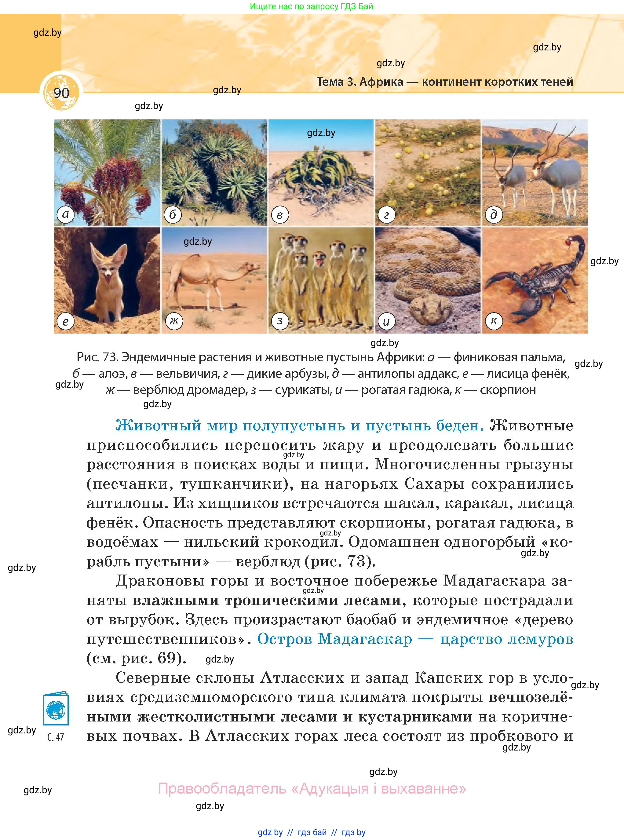 География, 7 класс Учебник, авторы: Кольмакова Елена Генадьевна, Лопух Пётр Степанович, Сарычева Ольга Владимировна, издательство Адукацыя i выхаванне, Минск, 2023, страница 90