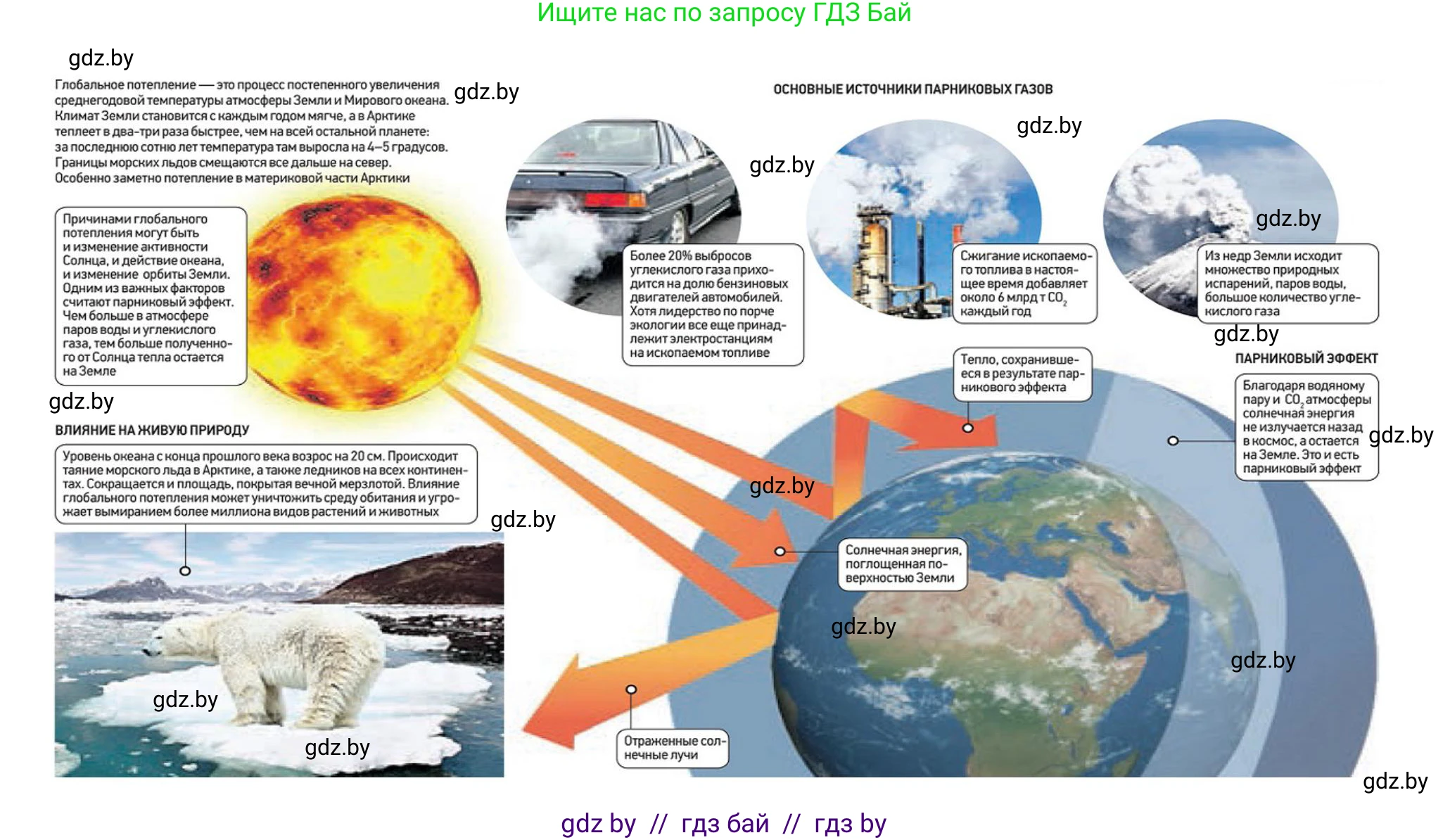 География, 7 класс Учебник, авторы: Кольмакова Елена Генадьевна, Лопух Пётр Степанович, Сарычева Ольга Владимировна, издательство Адукацыя i выхаванне, Минск, 2023, страница 12, Решение (продолжение 2)