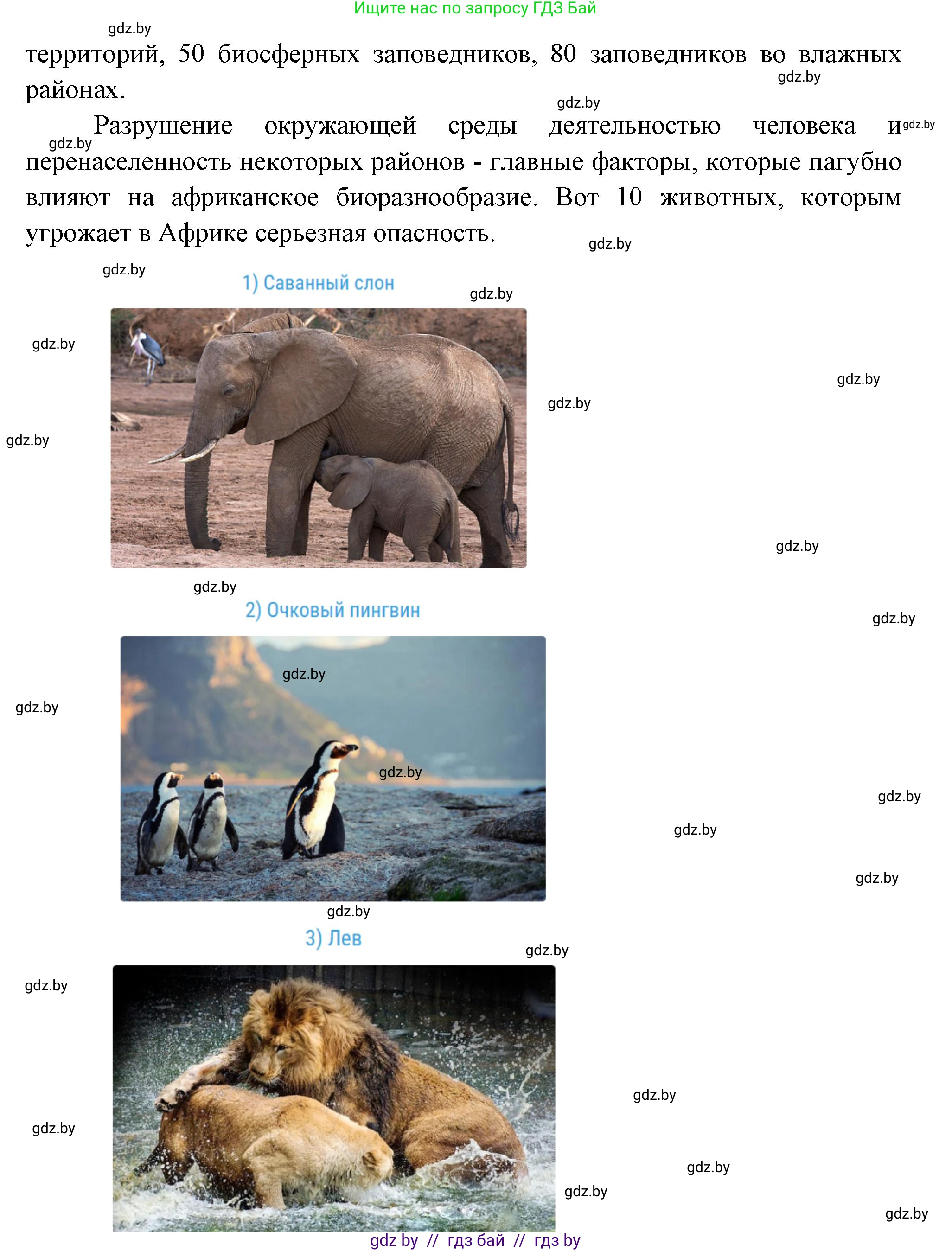 География, 7 класс Учебник, авторы: Кольмакова Елена Генадьевна, Лопух Пётр Степанович, Сарычева Ольга Владимировна, издательство Адукацыя i выхаванне, Минск, 2023, страница 93, Решение (продолжение 2)