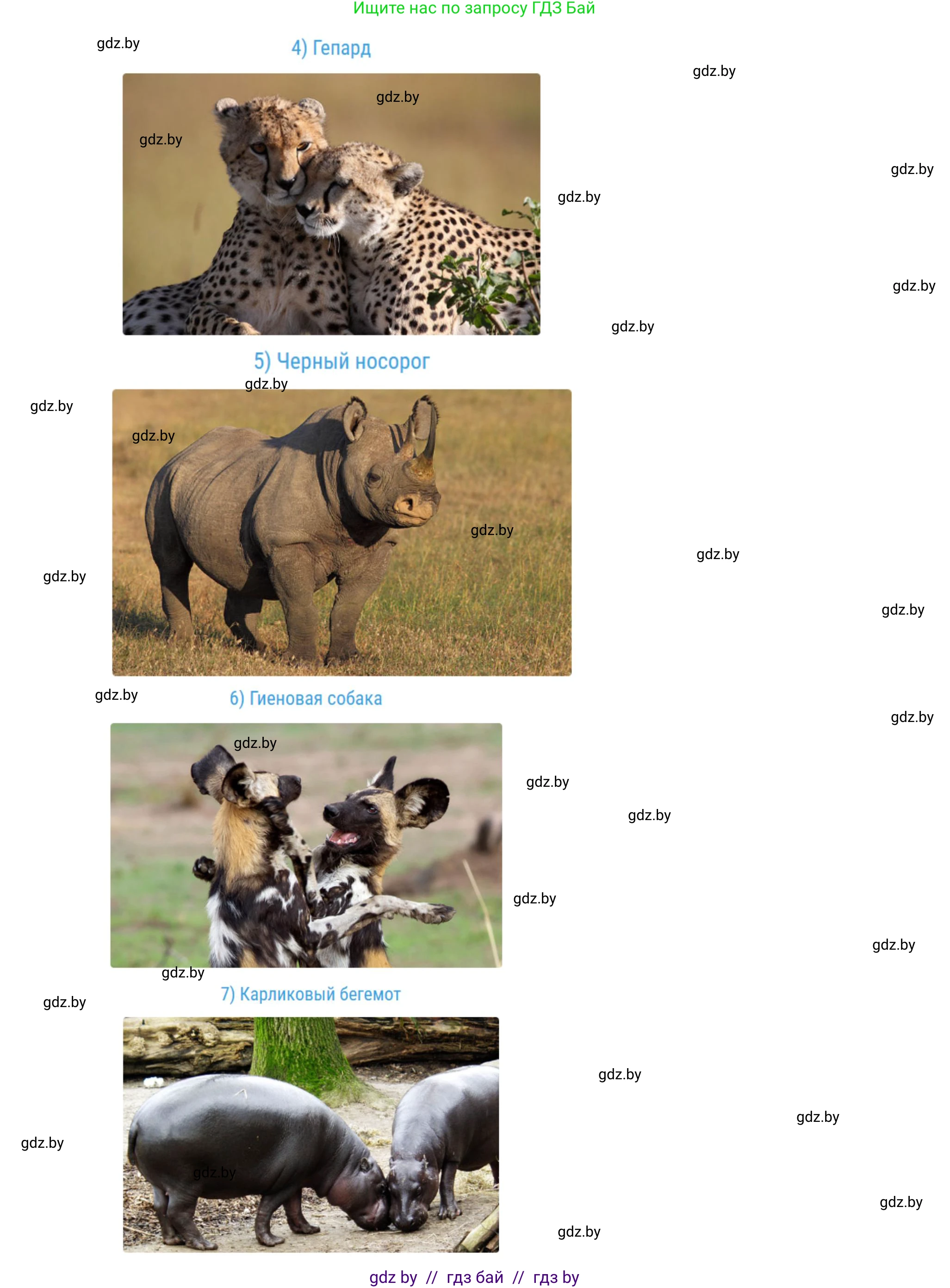 География, 7 класс Учебник, авторы: Кольмакова Елена Генадьевна, Лопух Пётр Степанович, Сарычева Ольга Владимировна, издательство Адукацыя i выхаванне, Минск, 2023, страница 93, Решение (продолжение 3)