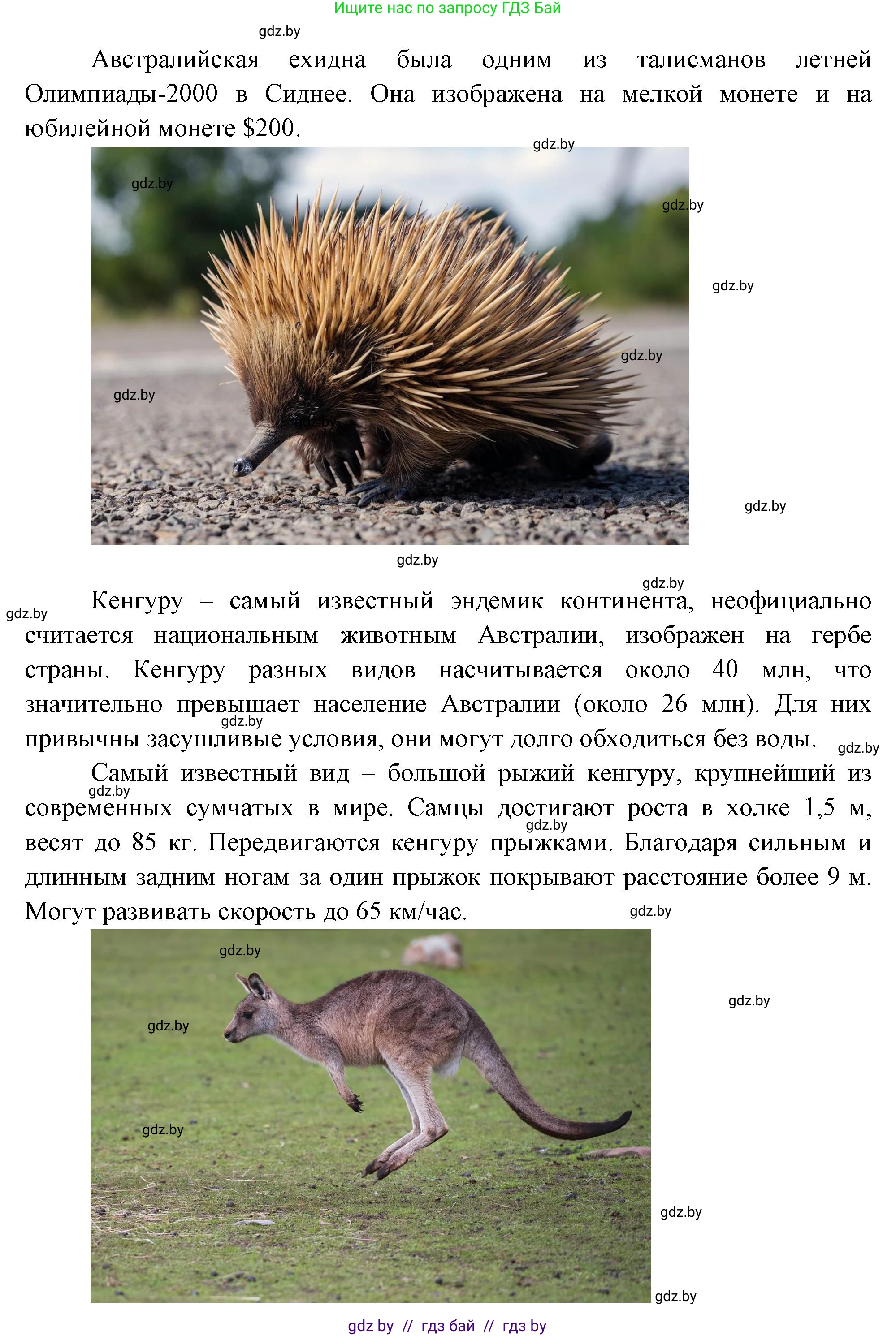 География, 7 класс Учебник, авторы: Кольмакова Елена Генадьевна, Лопух Пётр Степанович, Сарычева Ольга Владимировна, издательство Адукацыя i выхаванне, Минск, 2023, страница 117, Решение (продолжение 2)