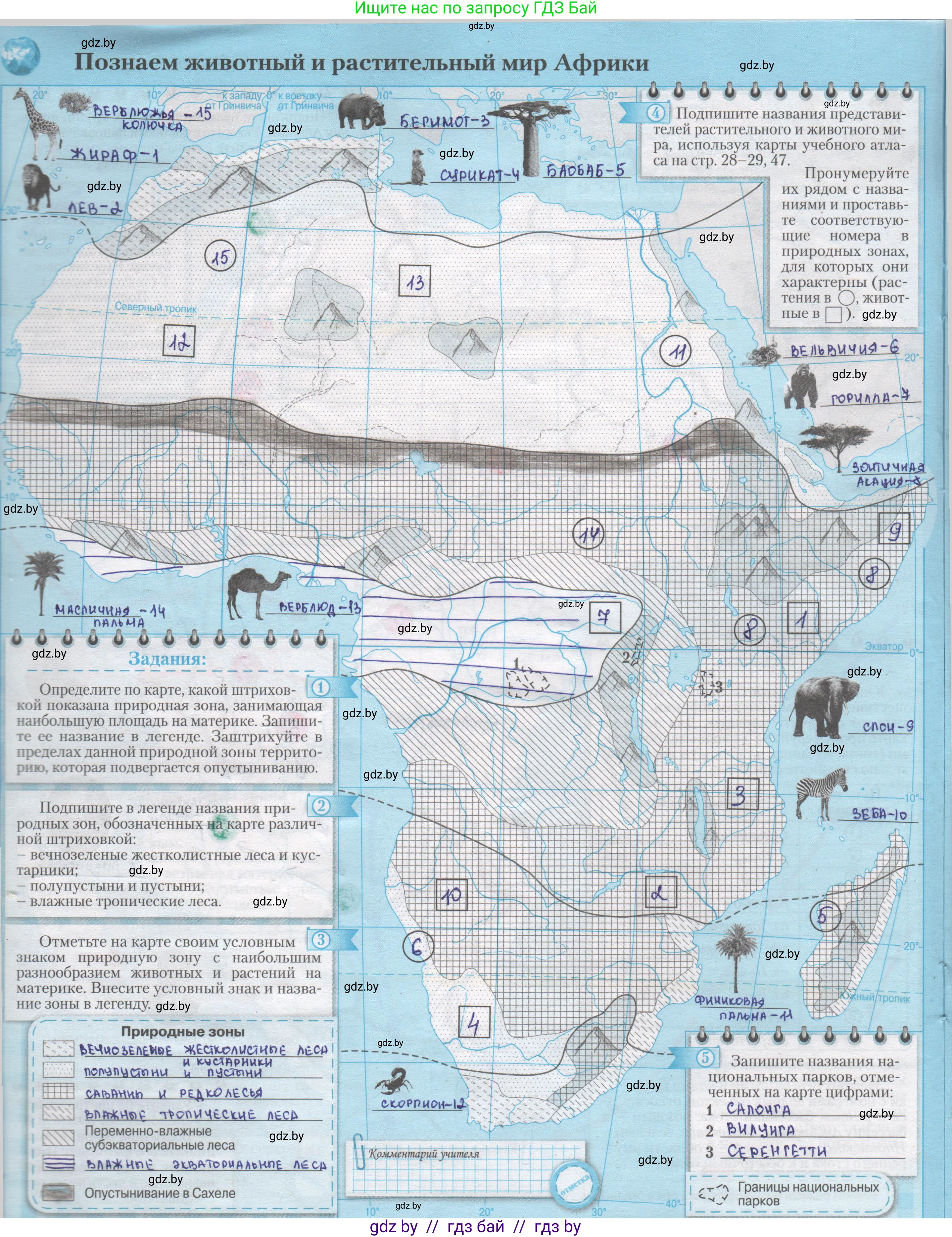 География, 7 класс Контурные карты, авторы: Кольмакова Елена Генадьевна, Сарычева Ольга Владимировна, издательство Белкартография, Минск, 2021, голубого цвета, страница 18, Решение
