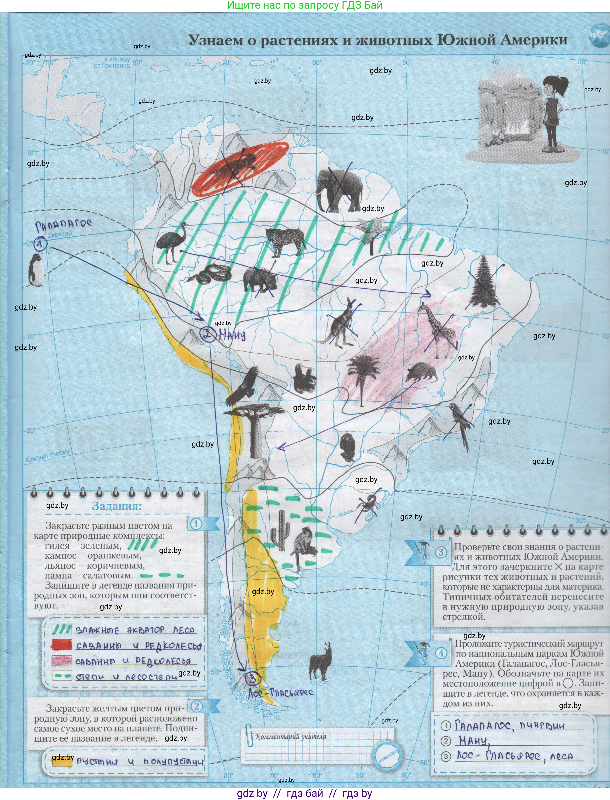 География, 7 класс Контурные карты, авторы: Кольмакова Елена Генадьевна, Сарычева Ольга Владимировна, издательство Белкартография, Минск, 2021, голубого цвета, страница 29, Решение