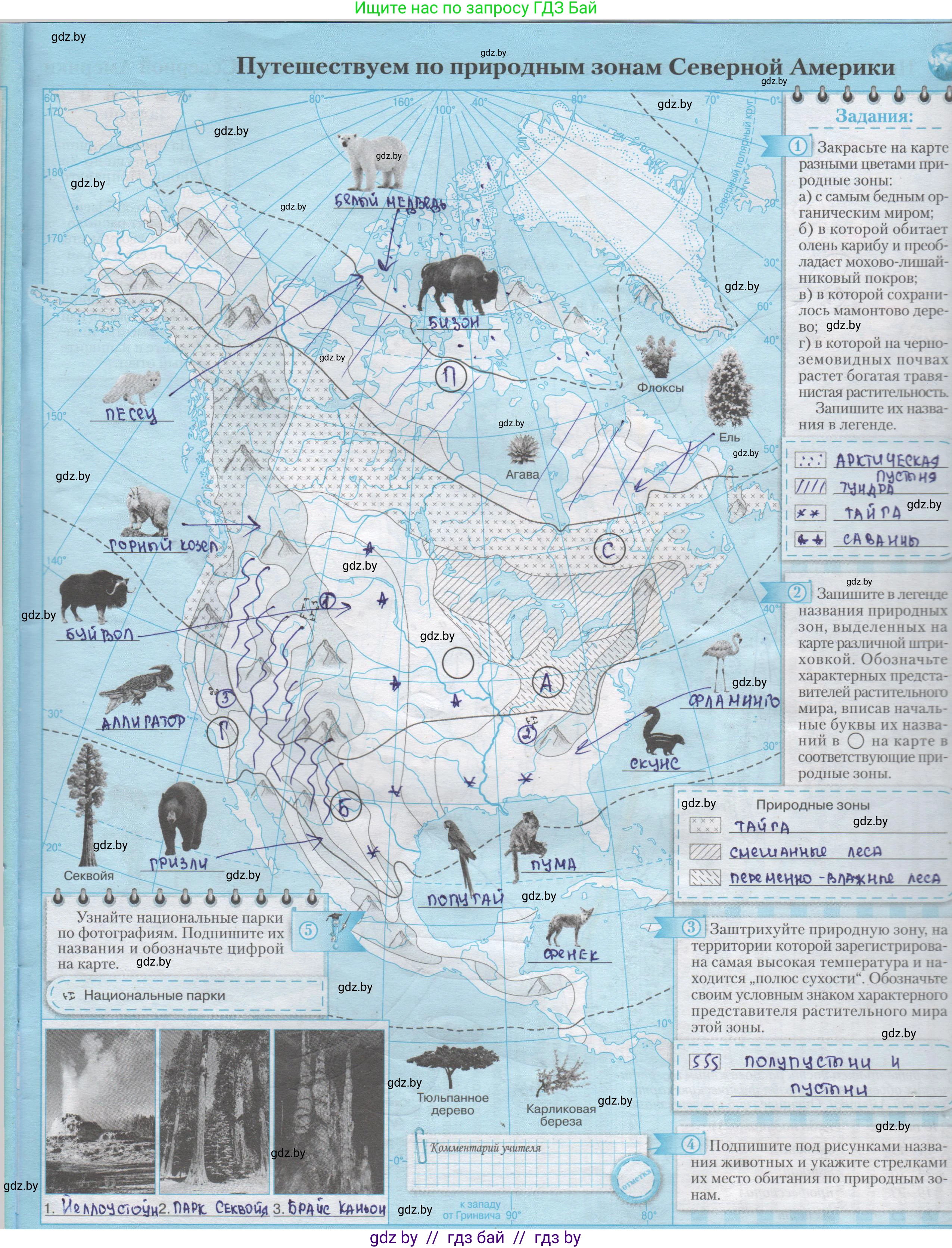 География, 7 класс Контурные карты, авторы: Кольмакова Елена Генадьевна, Сарычева Ольга Владимировна, издательство Белкартография, Минск, 2021, голубого цвета, страница 35, Решение