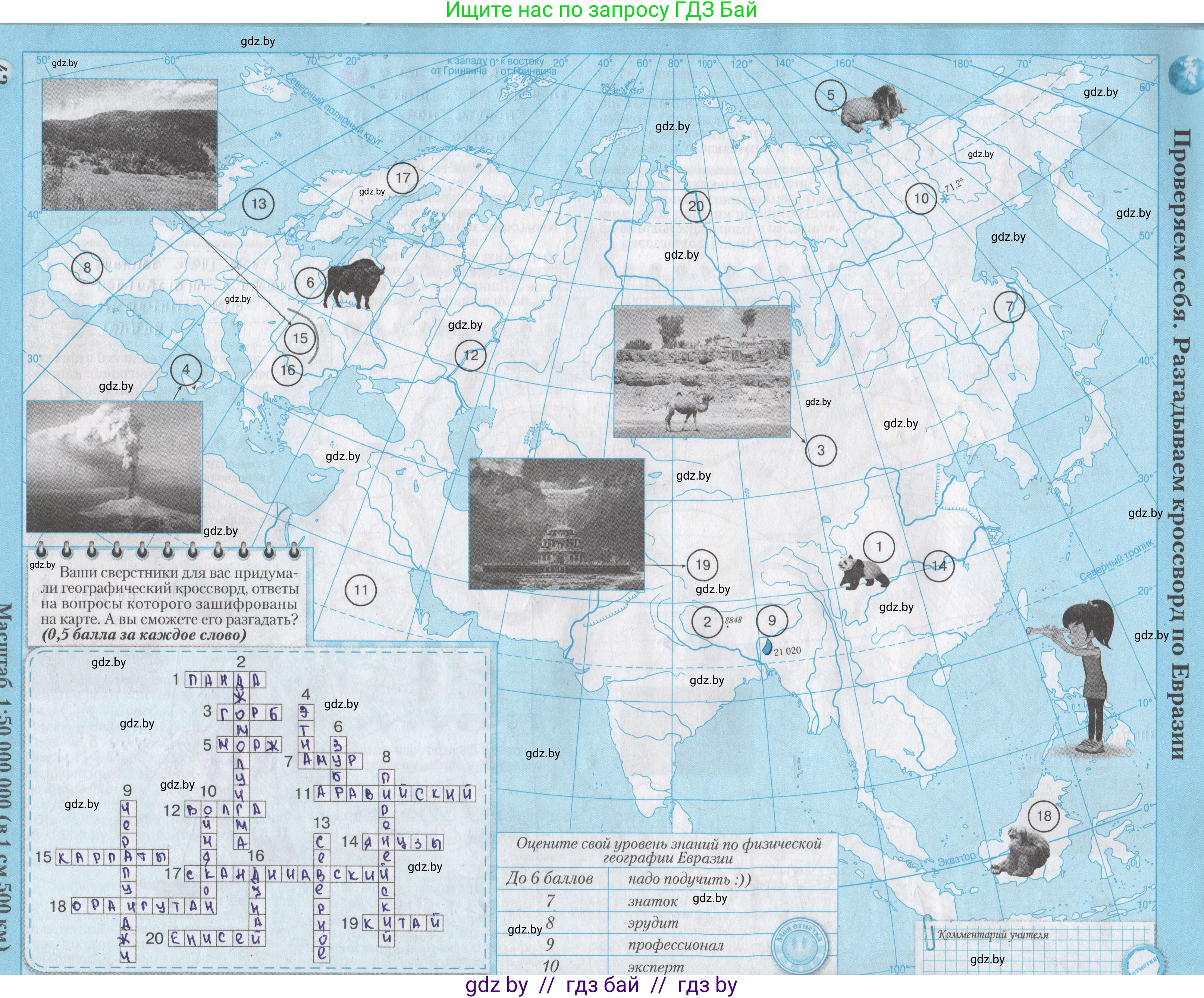 География, 7 класс Контурные карты, авторы: Кольмакова Елена Генадьевна, Сарычева Ольга Владимировна, издательство Белкартография, Минск, 2021, голубого цвета, страница 42, Решение