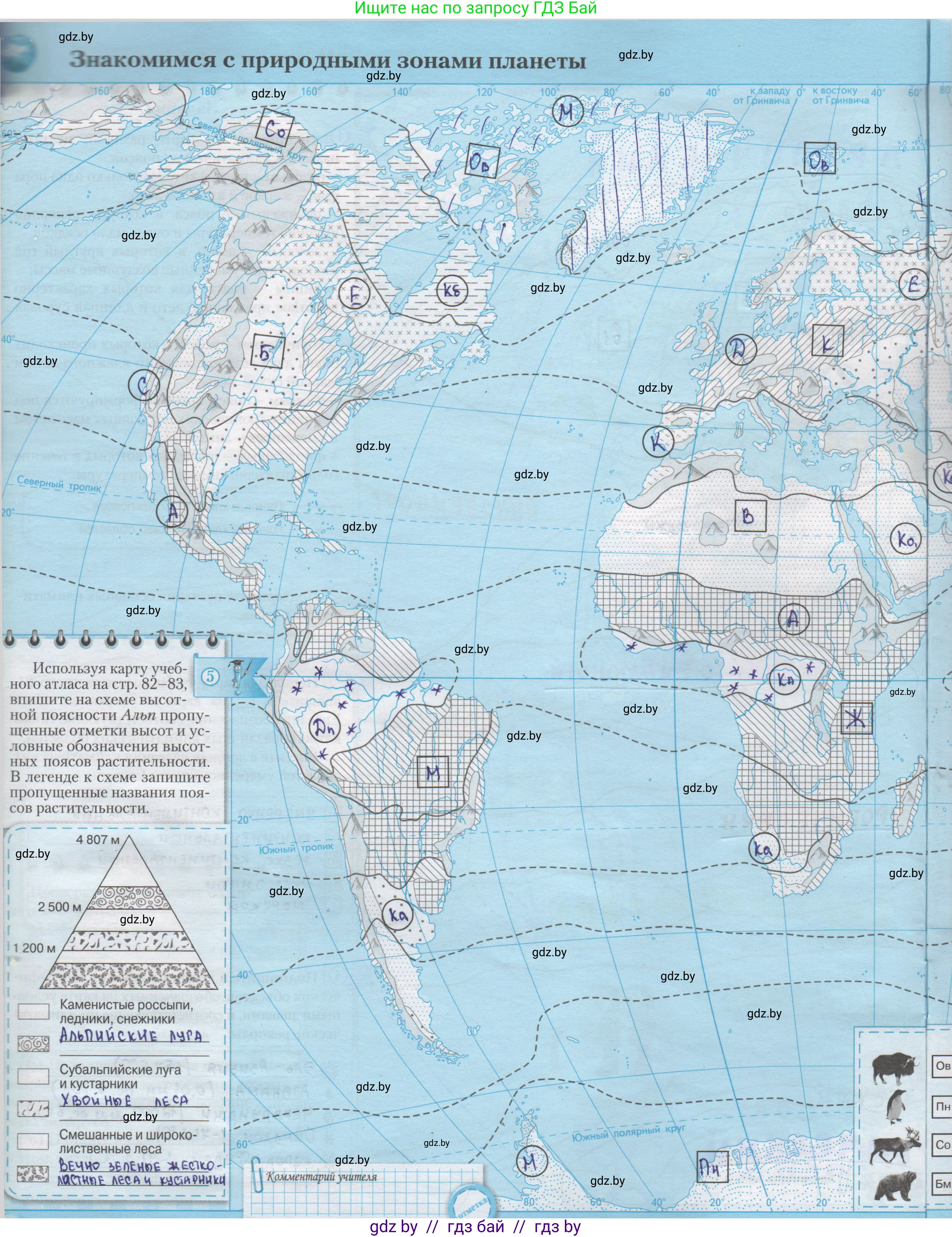 География, 7 класс Контурные карты, авторы: Кольмакова Елена Генадьевна, Сарычева Ольга Владимировна, издательство Белкартография, Минск, 2021, голубого цвета, страница 8, Решение