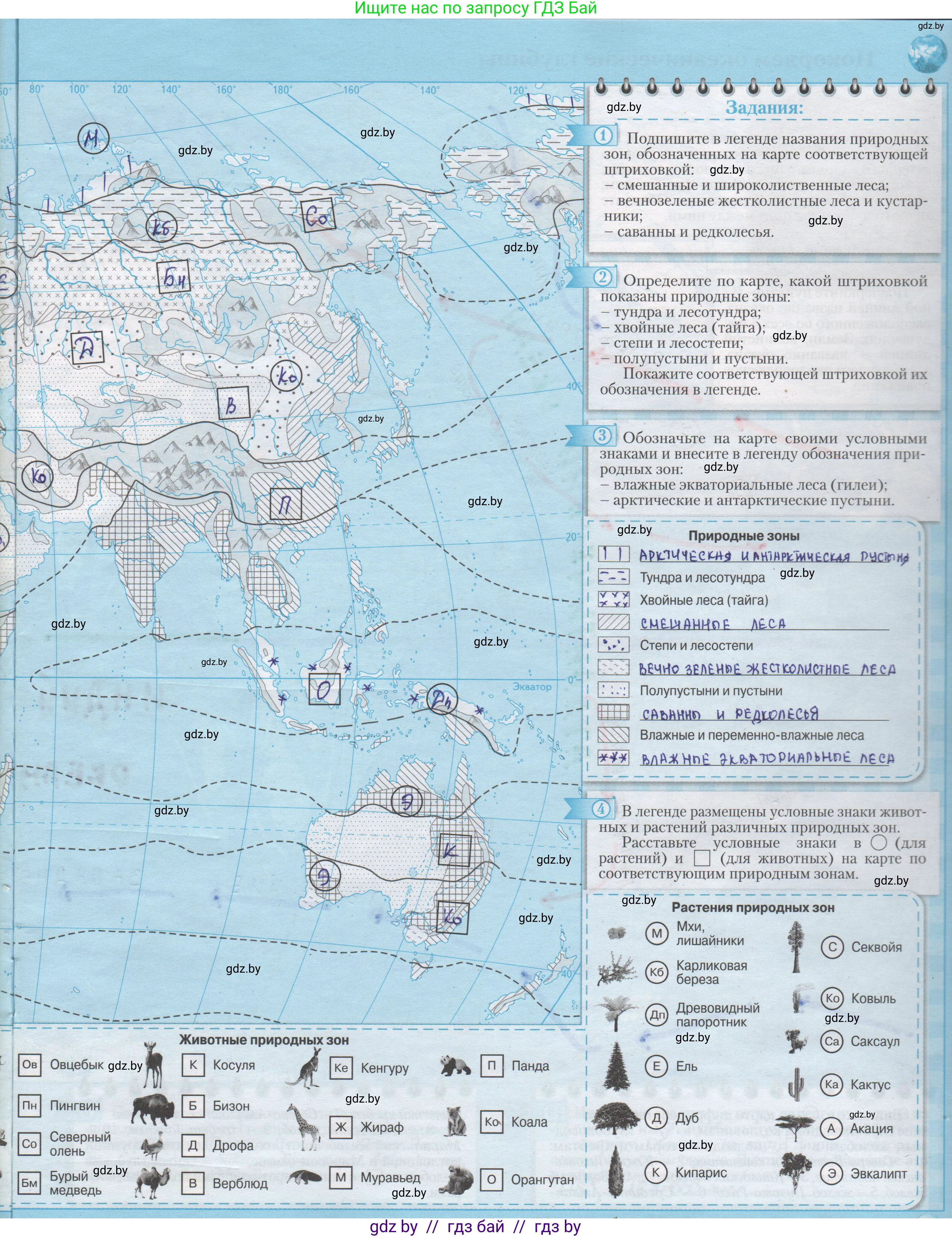География, 7 класс Контурные карты, авторы: Кольмакова Елена Генадьевна, Сарычева Ольга Владимировна, издательство Белкартография, Минск, 2021, голубого цвета, страница 9, Решение