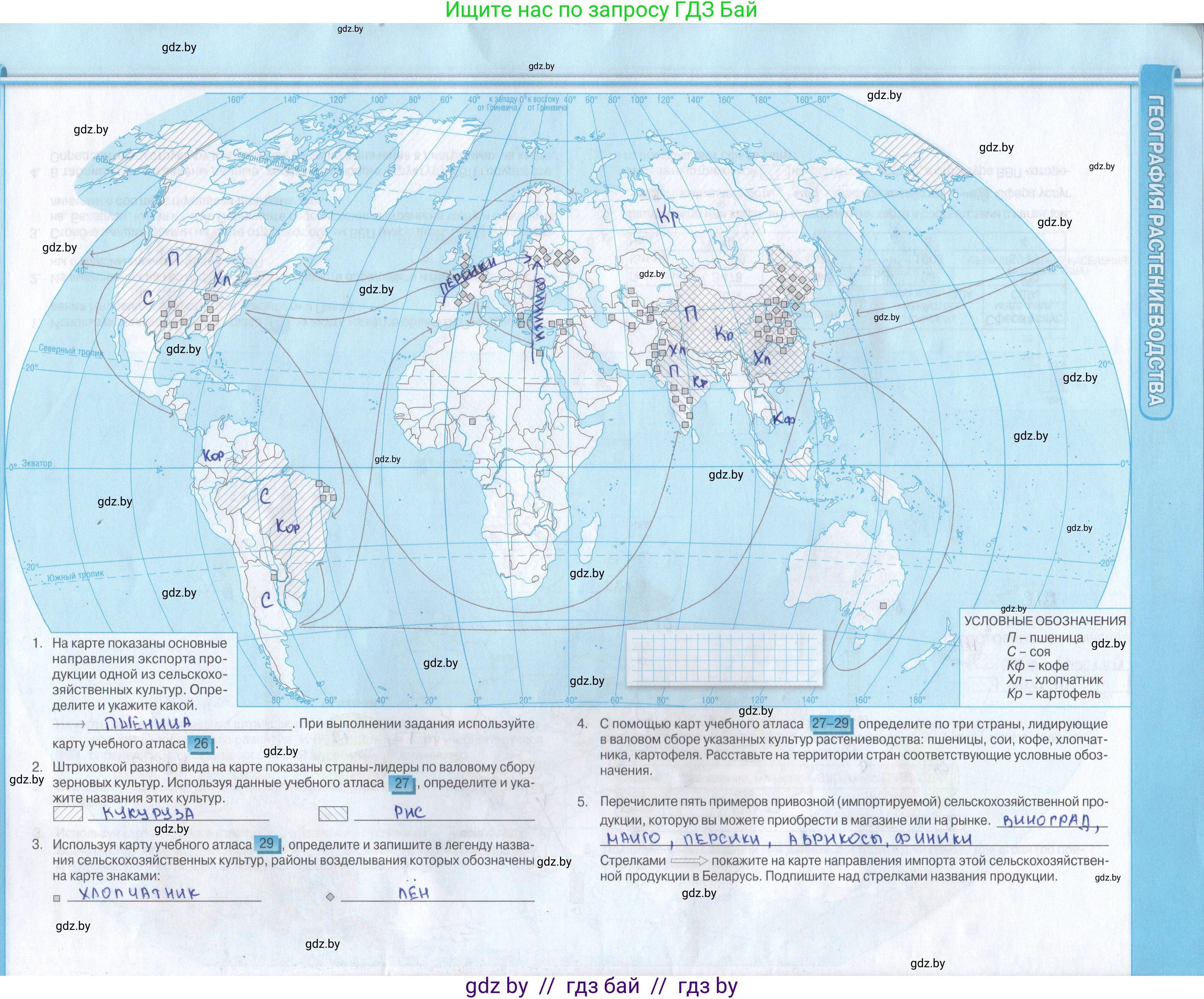 География, 8 класс Контурные карты, авторы: Озем Г З, Ольмец Л Г, Шкель Людмила Валерьевна, Фокеева Л В, издательство Белкартография, Минск, 2022, голубого цвета, страница 12, Решение