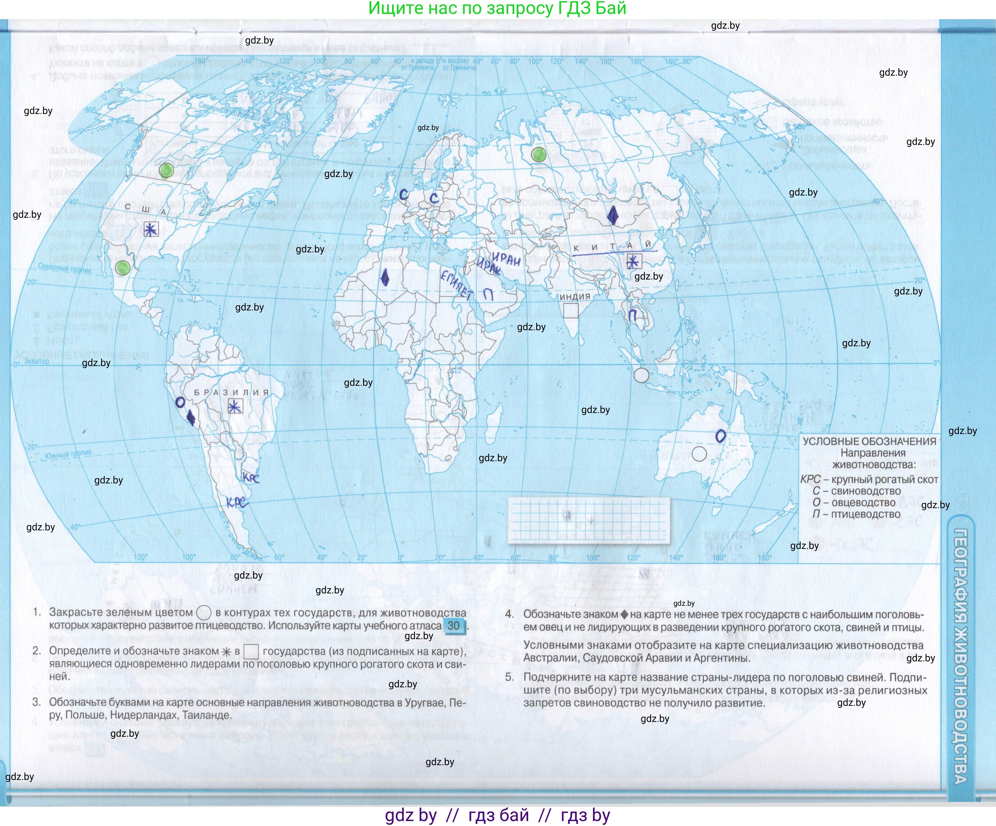 География, 8 класс Контурные карты, авторы: Озем Г З, Ольмец Л Г, Шкель Людмила Валерьевна, Фокеева Л В, издательство Белкартография, Минск, 2022, голубого цвета, страница 13, Решение