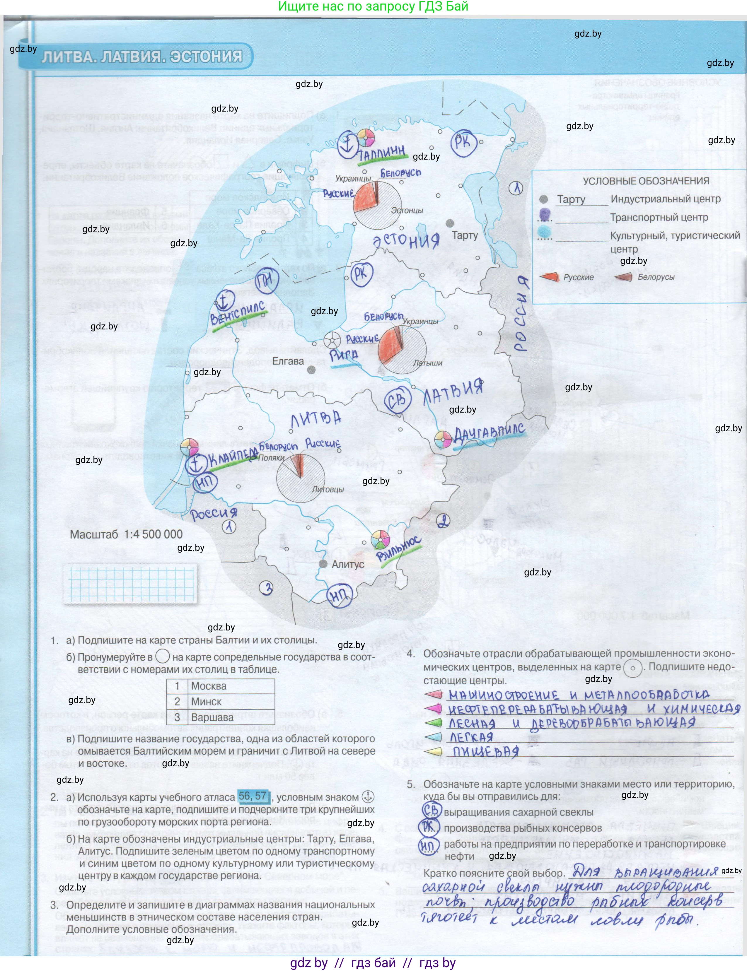 География, 8 класс Контурные карты, авторы: Озем Г З, Ольмец Л Г, Шкель Людмила Валерьевна, Фокеева Л В, издательство Белкартография, Минск, 2022, голубого цвета, страница 26, Решение