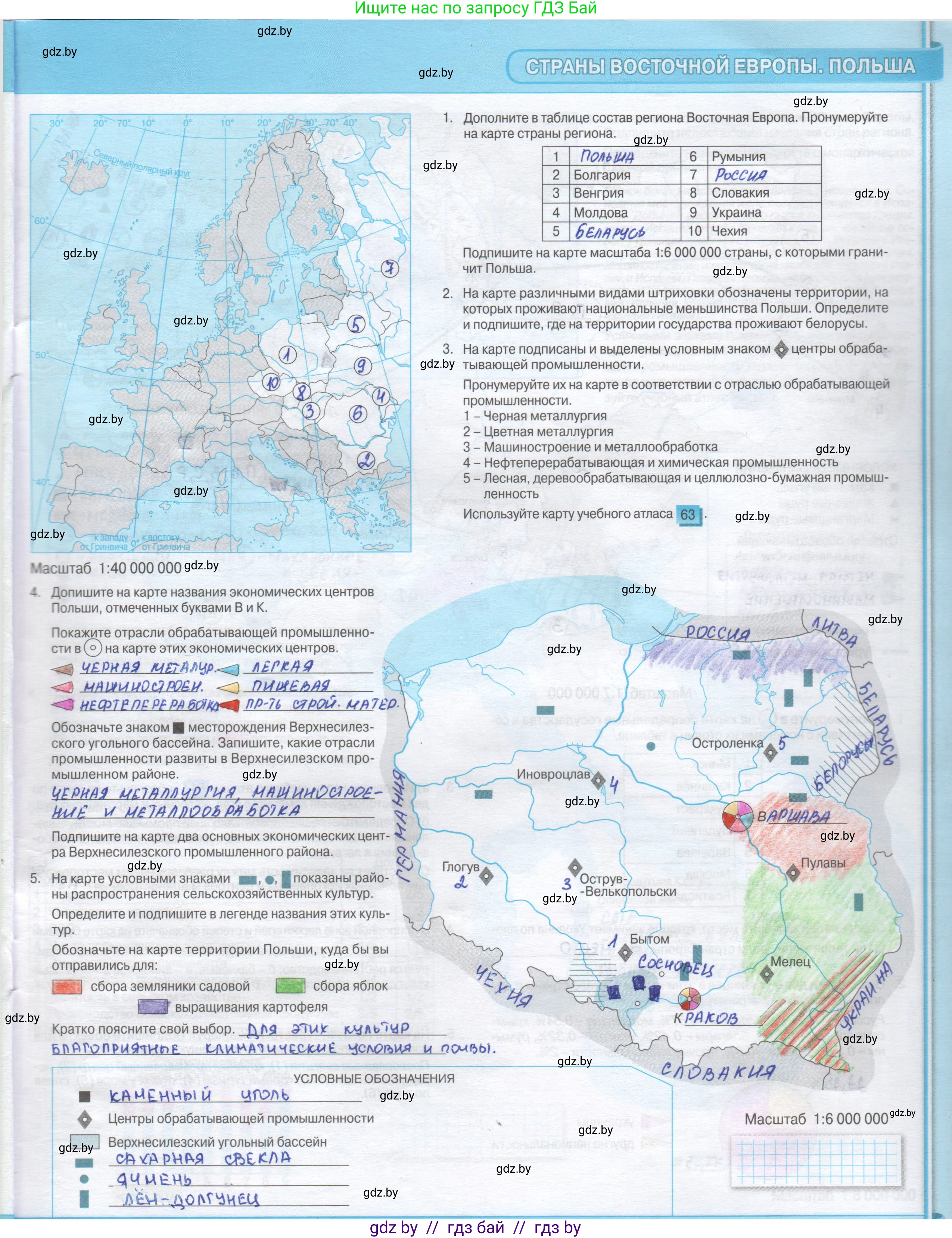 География, 8 класс Контурные карты, авторы: Озем Г З, Ольмец Л Г, Шкель Людмила Валерьевна, Фокеева Л В, издательство Белкартография, Минск, 2022, голубого цвета, страница 29, Решение