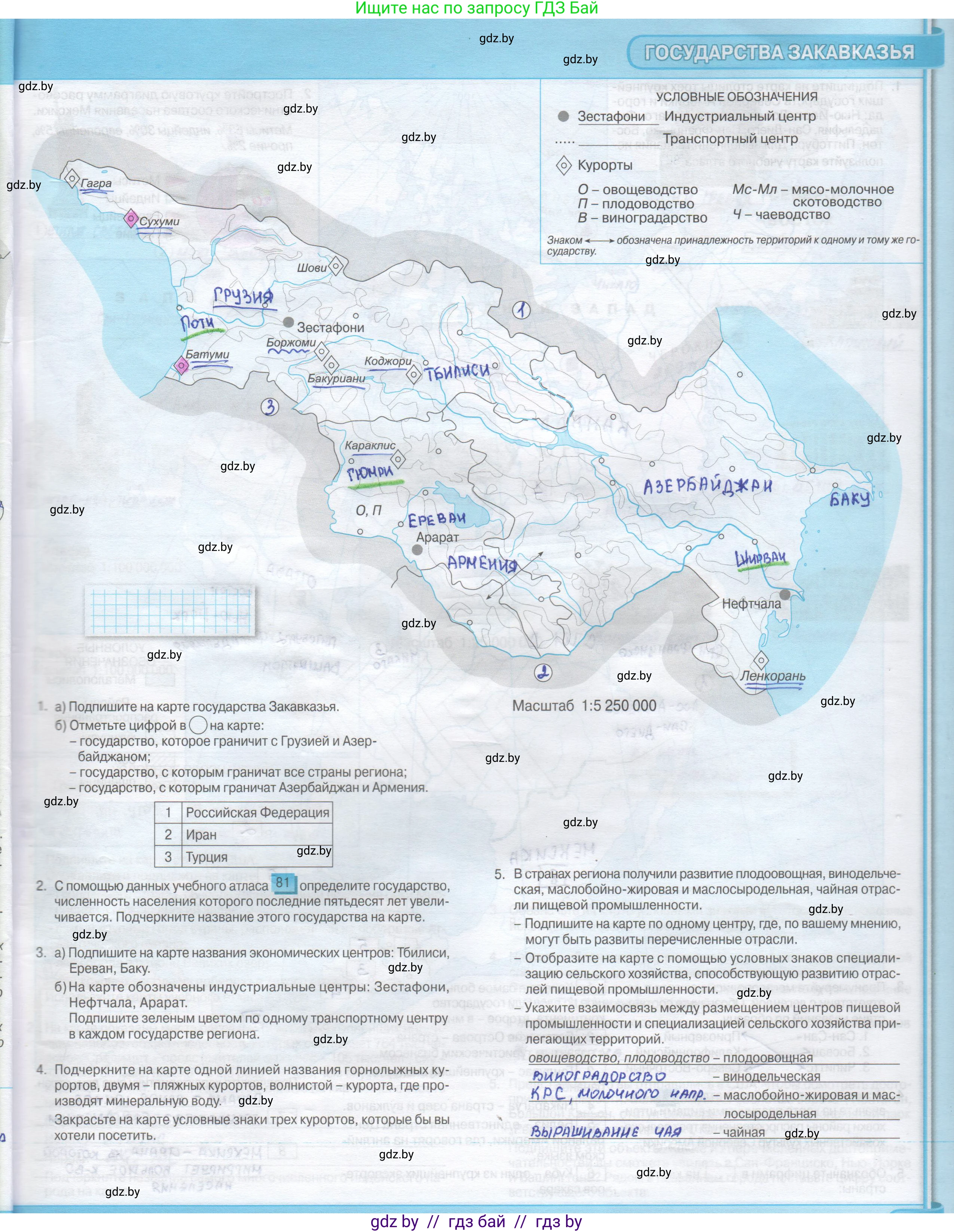 География, 8 класс Контурные карты, авторы: Озем Г З, Ольмец Л Г, Шкель Людмила Валерьевна, Фокеева Л В, издательство Белкартография, Минск, 2022, голубого цвета, страница 39, Решение