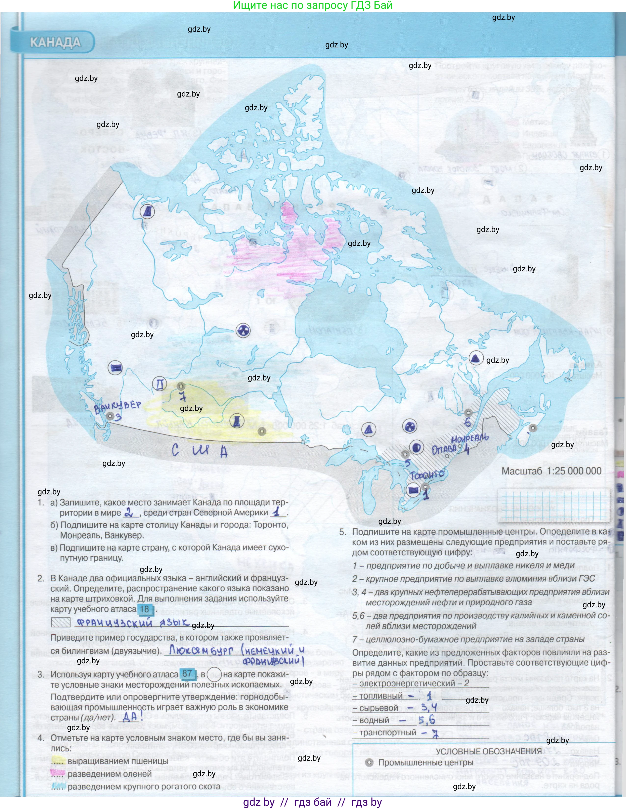 География, 8 класс Контурные карты, авторы: Озем Г З, Ольмец Л Г, Шкель Людмила Валерьевна, Фокеева Л В, издательство Белкартография, Минск, 2022, голубого цвета, страница 42, Решение