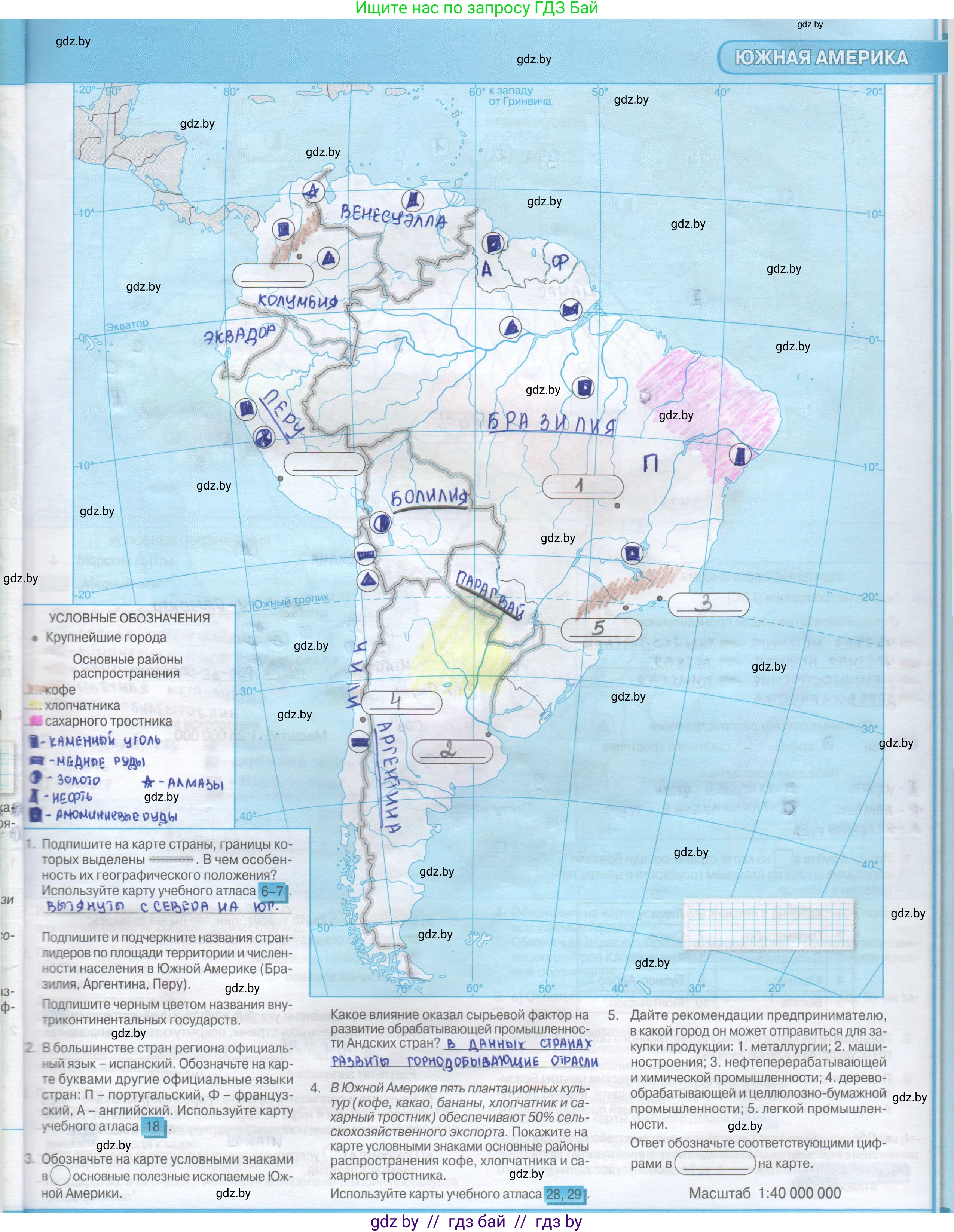 География, 8 класс Контурные карты, авторы: Озем Г З, Ольмец Л Г, Шкель Людмила Валерьевна, Фокеева Л В, издательство Белкартография, Минск, 2022, голубого цвета, страница 43, Решение