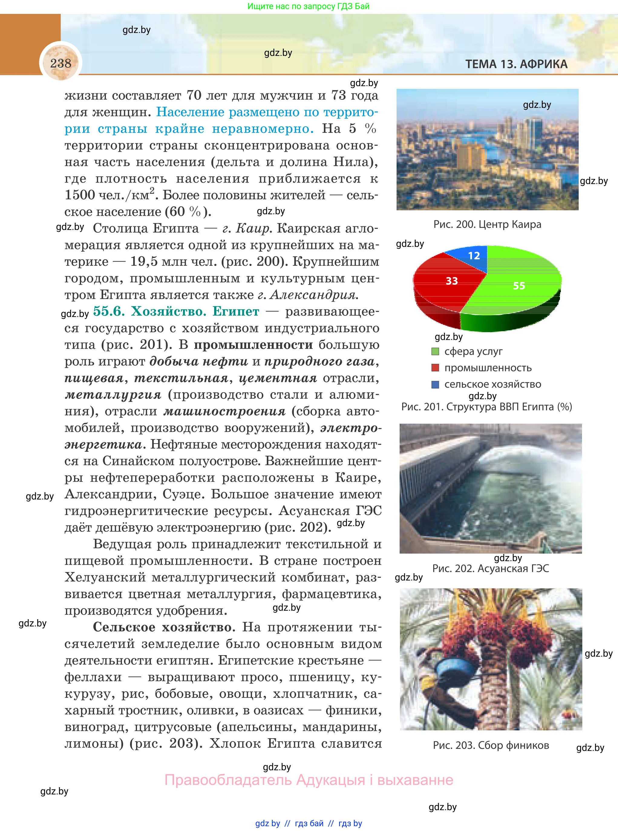 География, 8 класс Учебник, авторы: Лопух Пётр Степанович, Стреха Николай Леонидович, Сарычева Ольга Владимировна, Шандроха Андрей Генадьевич, издательство Адукацыя i выхаванне, Минск, 2019, страница 238
