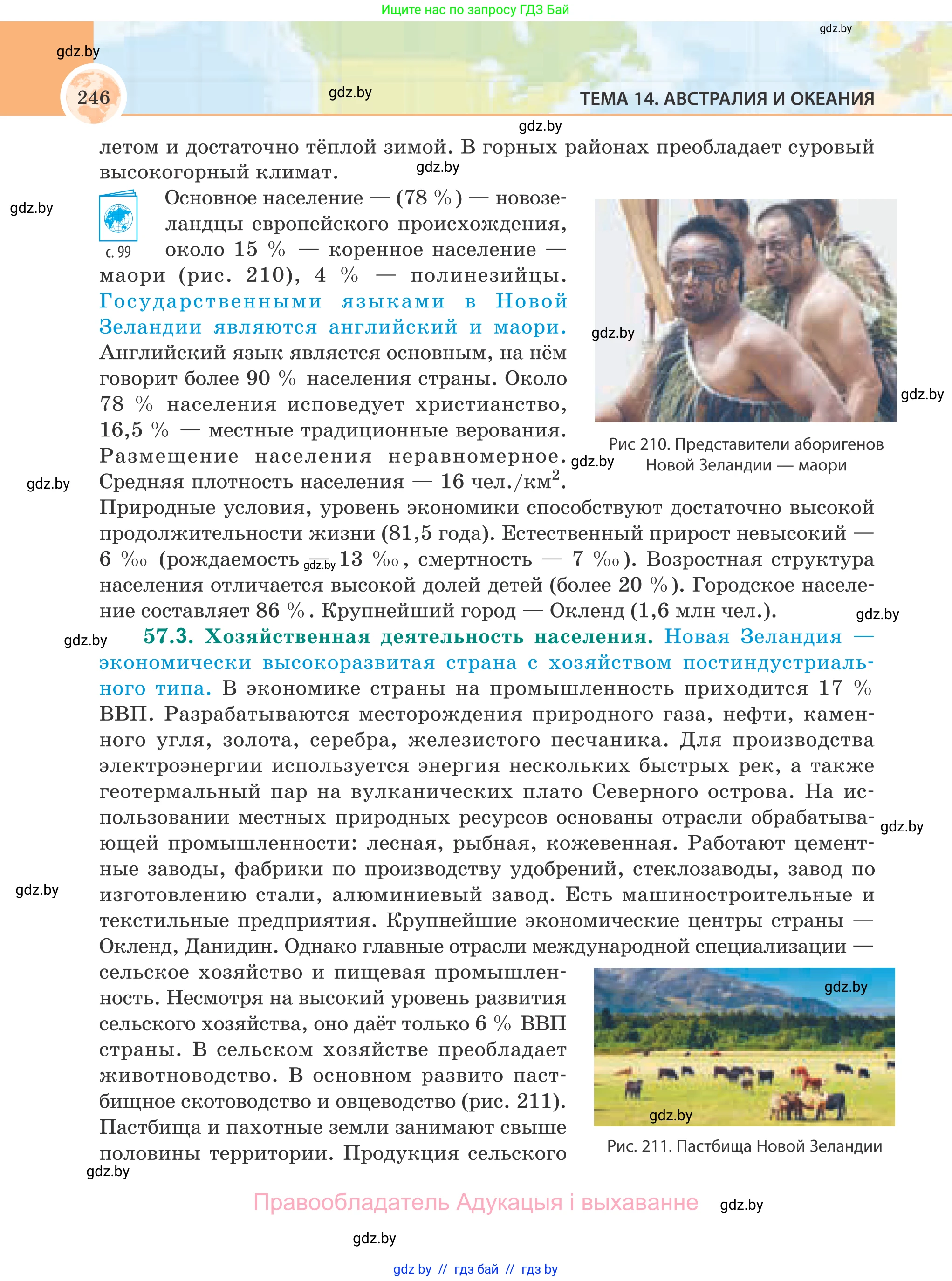 География, 8 класс Учебник, авторы: Лопух Пётр Степанович, Стреха Николай Леонидович, Сарычева Ольга Владимировна, Шандроха Андрей Генадьевич, издательство Адукацыя i выхаванне, Минск, 2019, страница 246