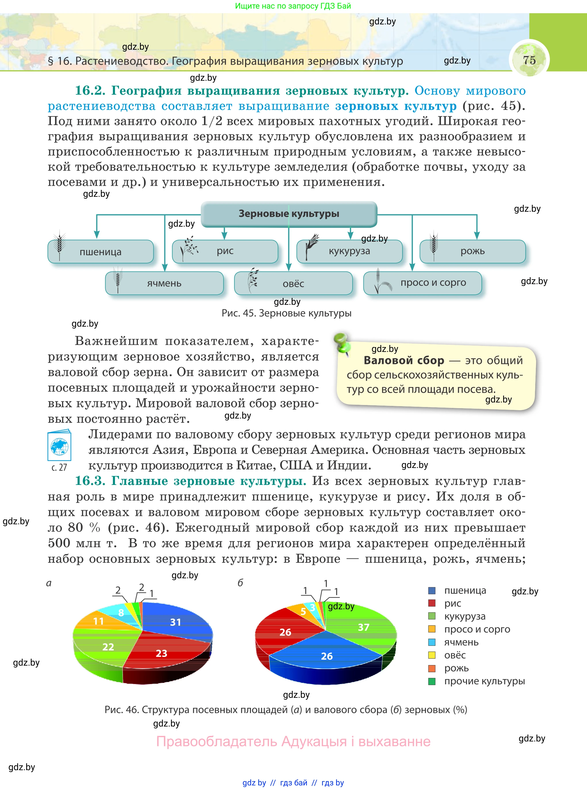 География, 8 класс Учебник, авторы: Лопух Пётр Степанович, Стреха Николай Леонидович, Сарычева Ольга Владимировна, Шандроха Андрей Генадьевич, издательство Адукацыя i выхаванне, Минск, 2019, страница 75