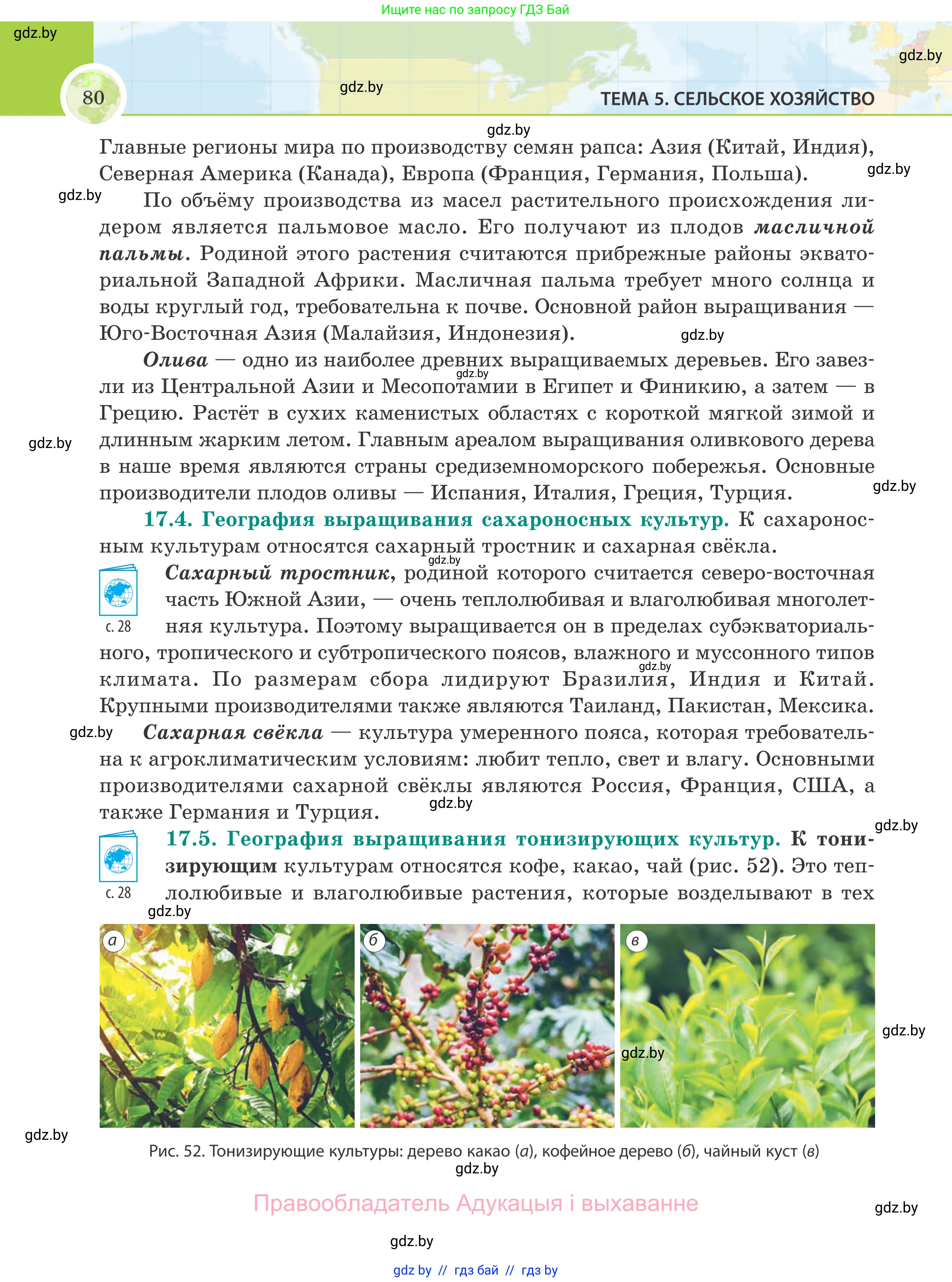 География, 8 класс Учебник, авторы: Лопух Пётр Степанович, Стреха Николай Леонидович, Сарычева Ольга Владимировна, Шандроха Андрей Генадьевич, издательство Адукацыя i выхаванне, Минск, 2019, страница 80