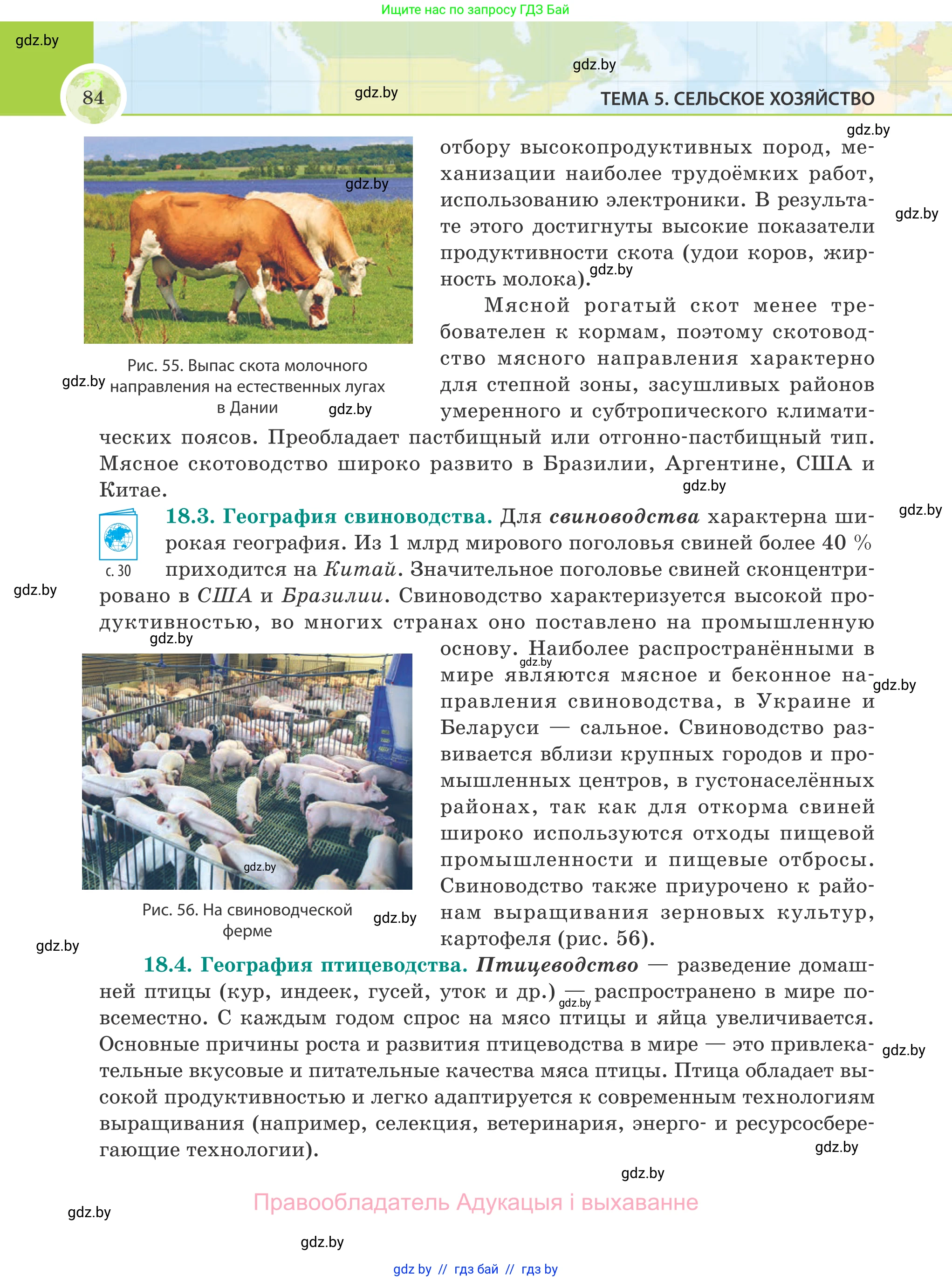 География, 8 класс Учебник, авторы: Лопух Пётр Степанович, Стреха Николай Леонидович, Сарычева Ольга Владимировна, Шандроха Андрей Генадьевич, издательство Адукацыя i выхаванне, Минск, 2019, страница 84