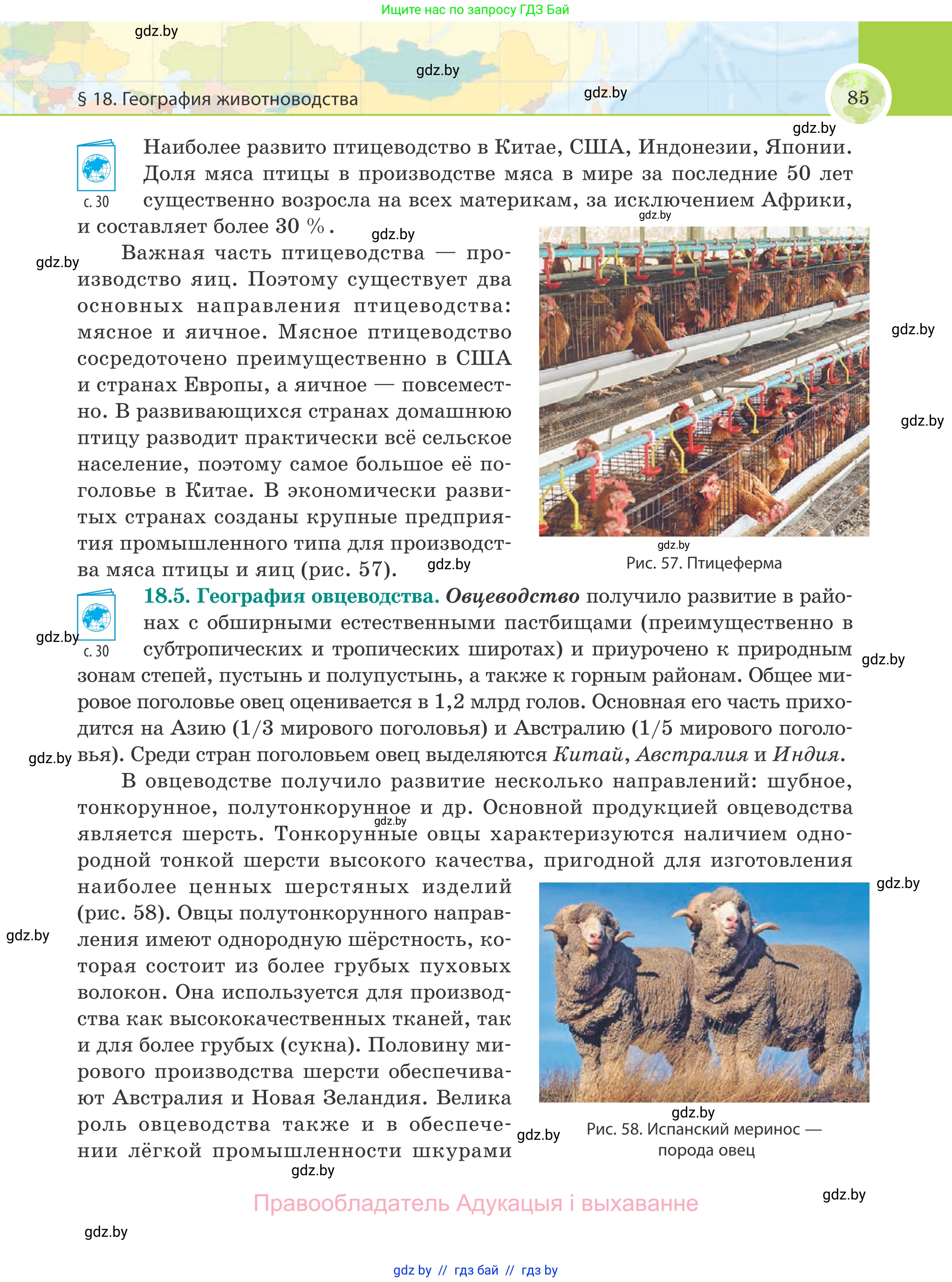 География, 8 класс Учебник, авторы: Лопух Пётр Степанович, Стреха Николай Леонидович, Сарычева Ольга Владимировна, Шандроха Андрей Генадьевич, издательство Адукацыя i выхаванне, Минск, 2019, страница 85
