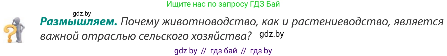 География, 8 класс Учебник, авторы: Лопух Пётр Степанович, Стреха Николай Леонидович, Сарычева Ольга Владимировна, Шандроха Андрей Генадьевич, издательство Адукацыя i выхаванне, Минск, 2019, страница 82, Условие