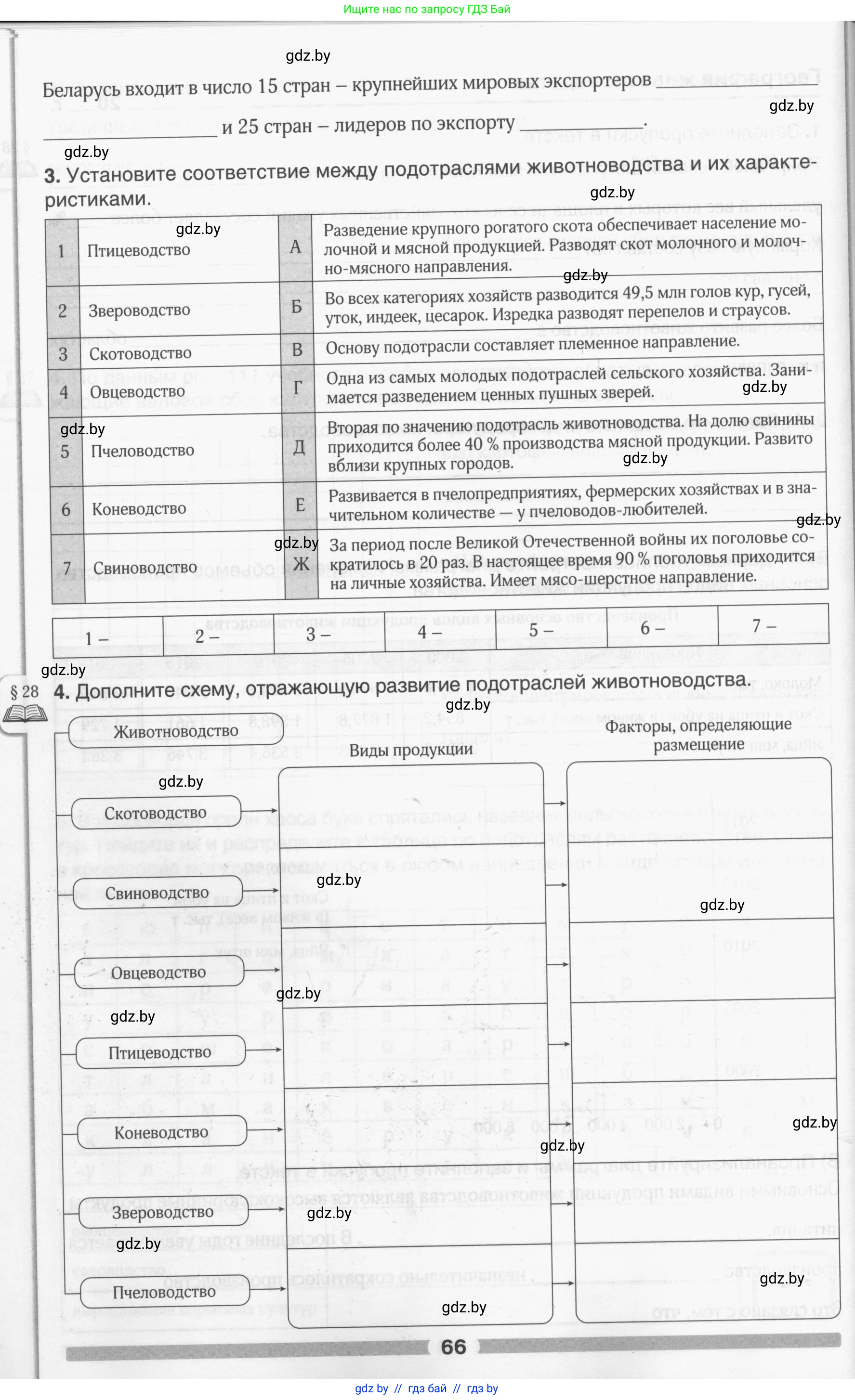География, 9 класс рабочая тетрадь, авторы: Брилевский Михаил Николаевич, Климович Алеся Владимировна, издательство Белкартография, Минск, 2021, бирюзового цвета, страница 66